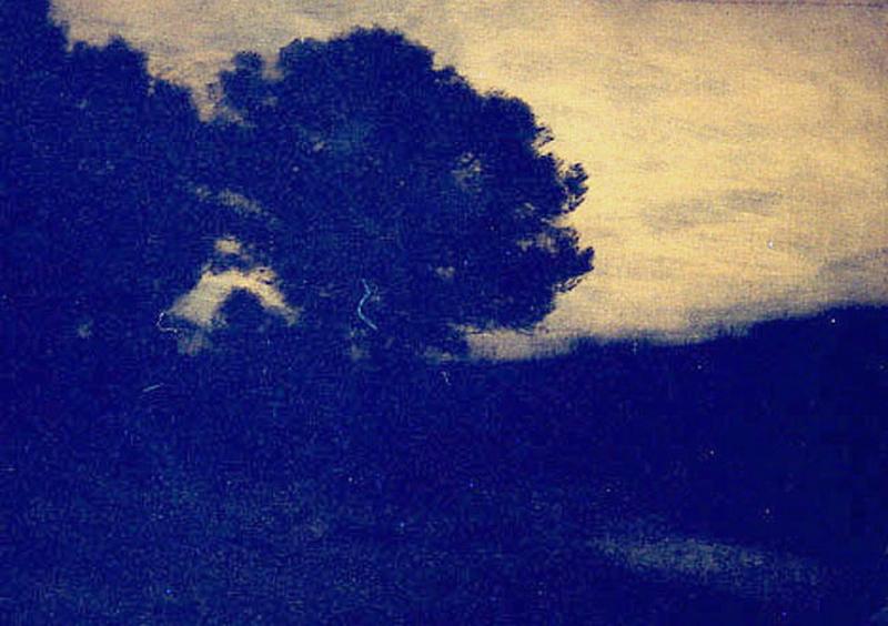 Chênes Au Crépuscule — Auguste Emmanuel Pointelin