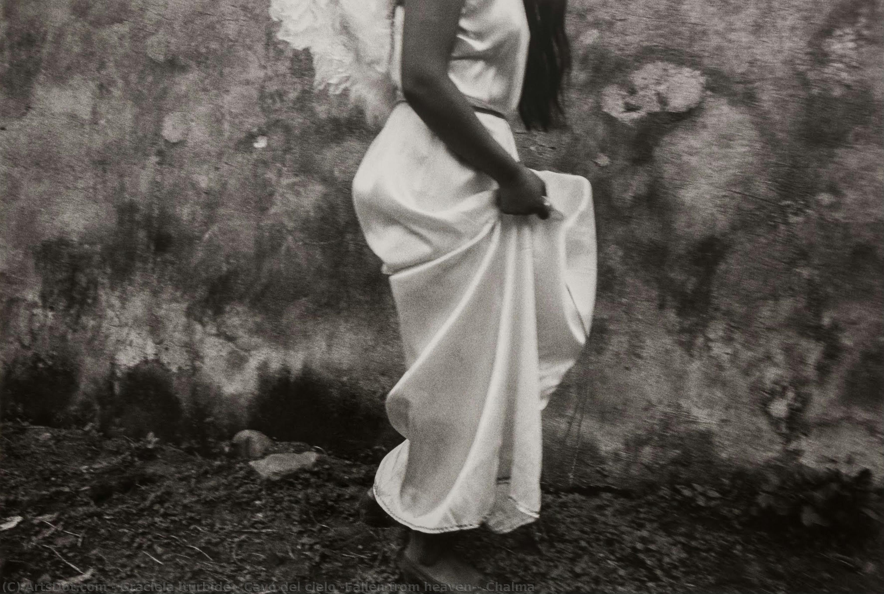 Cayó Del Cielo (fallen From Heaven), Chalma — Graciela Iturbide