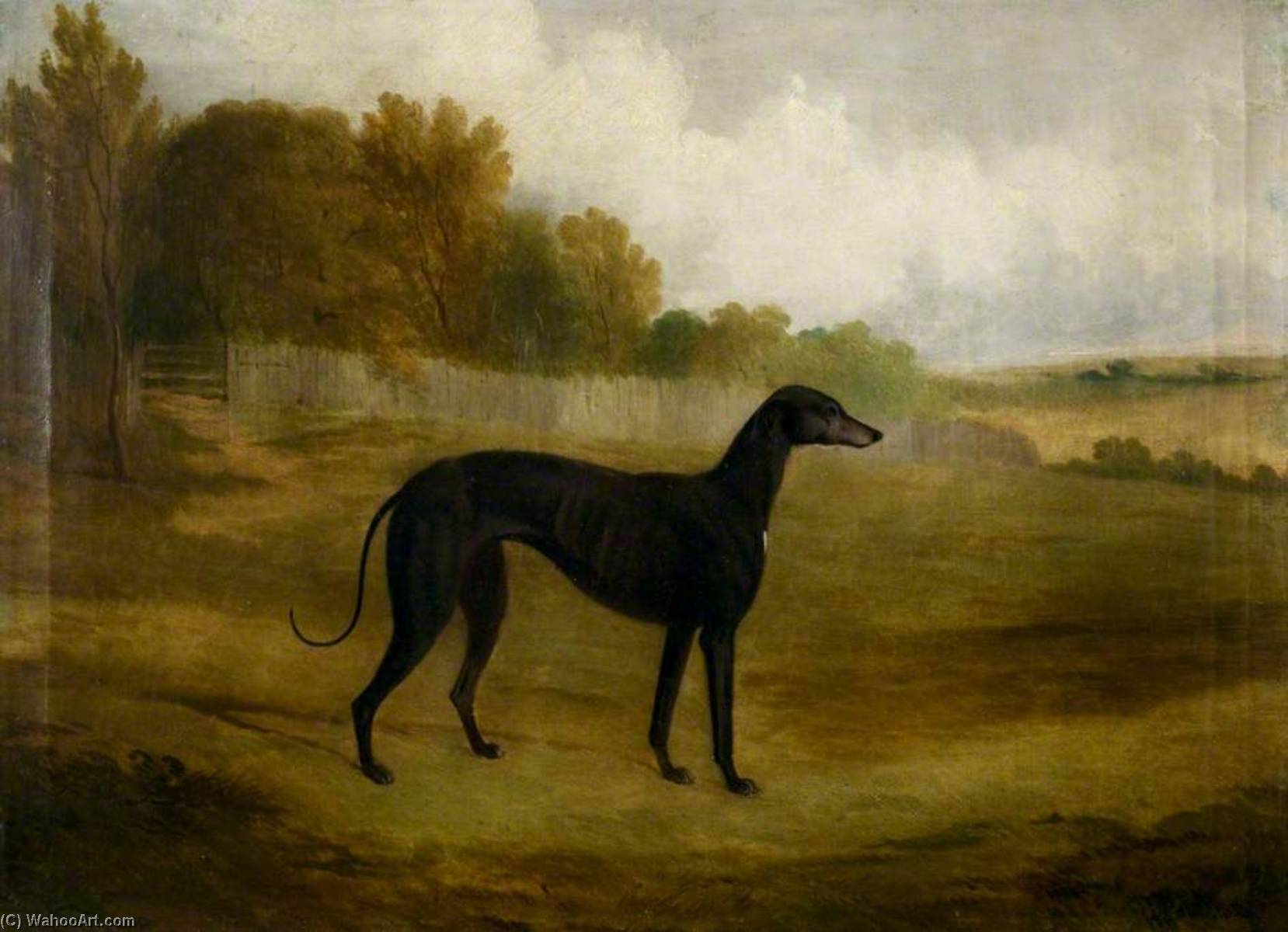 Greyhound In A Landscape — John Dean Paul