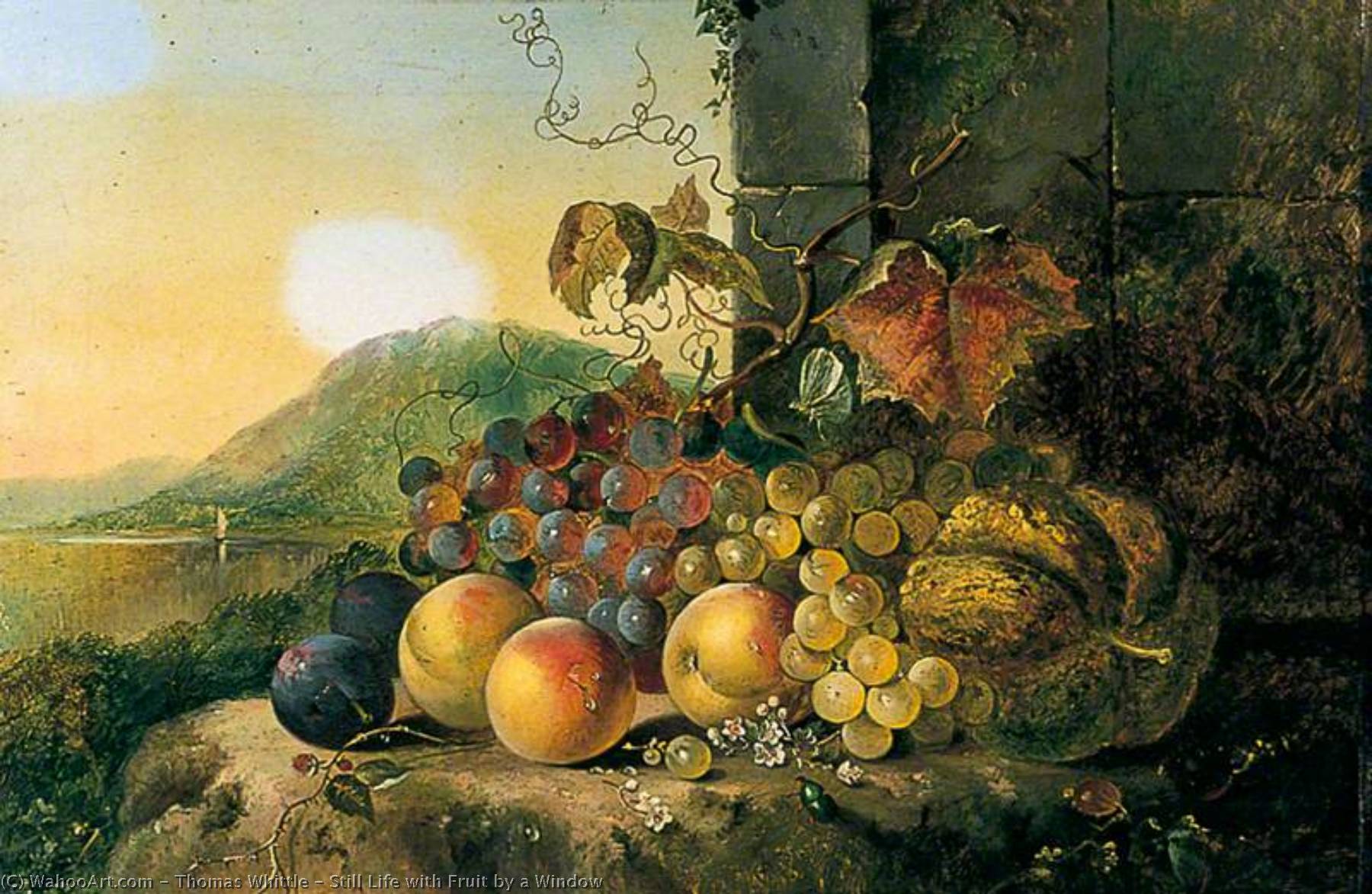 Still Life With Fruit By A Window — Thomas Whittle