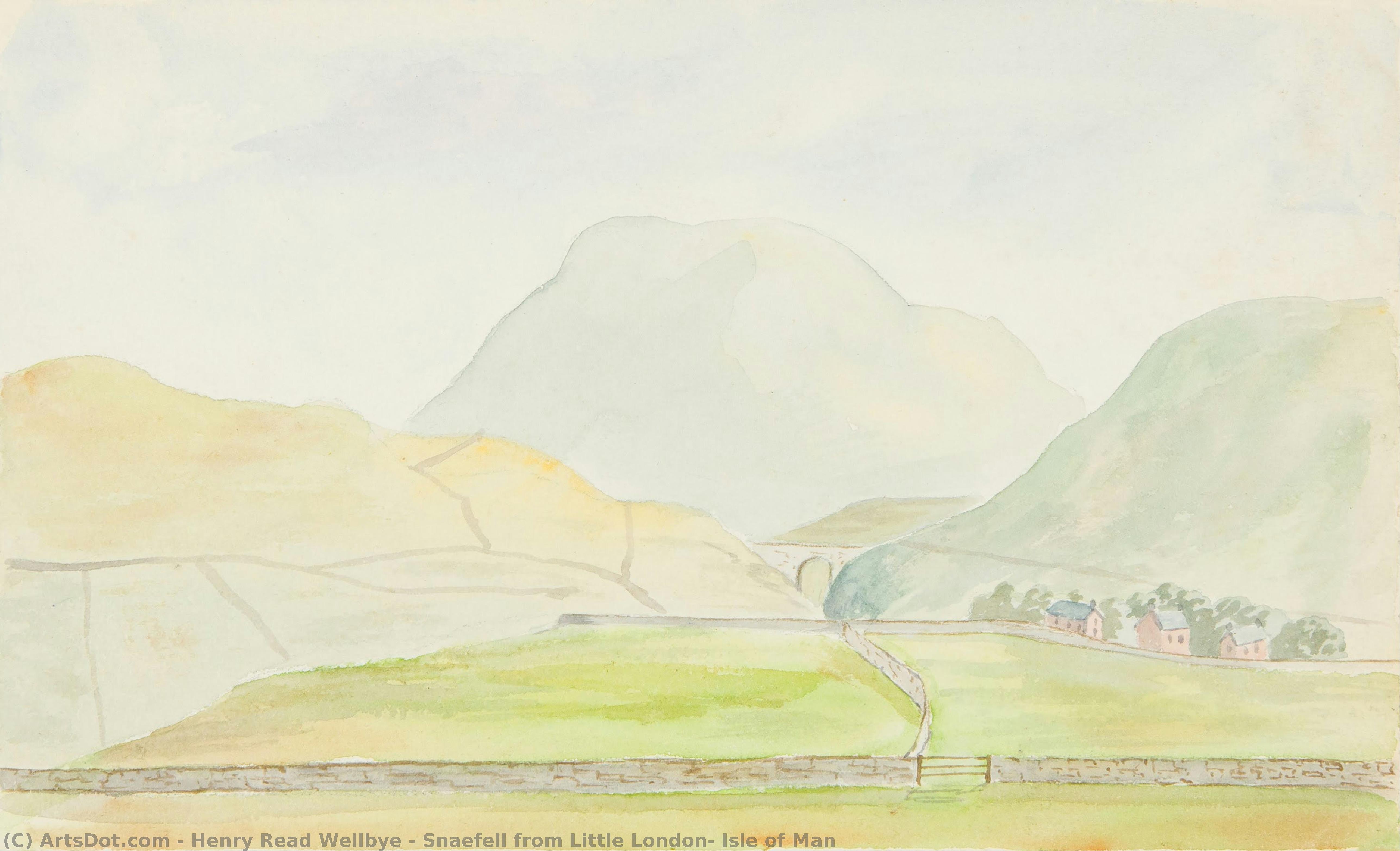 Snaefell From Little London, Isle Of Man — Henry Read Wellbye