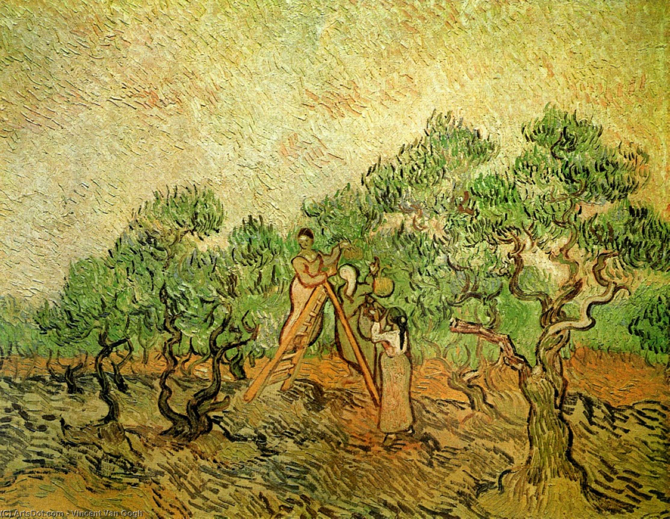 Olive Picking — Vincent Willem Van Gogh