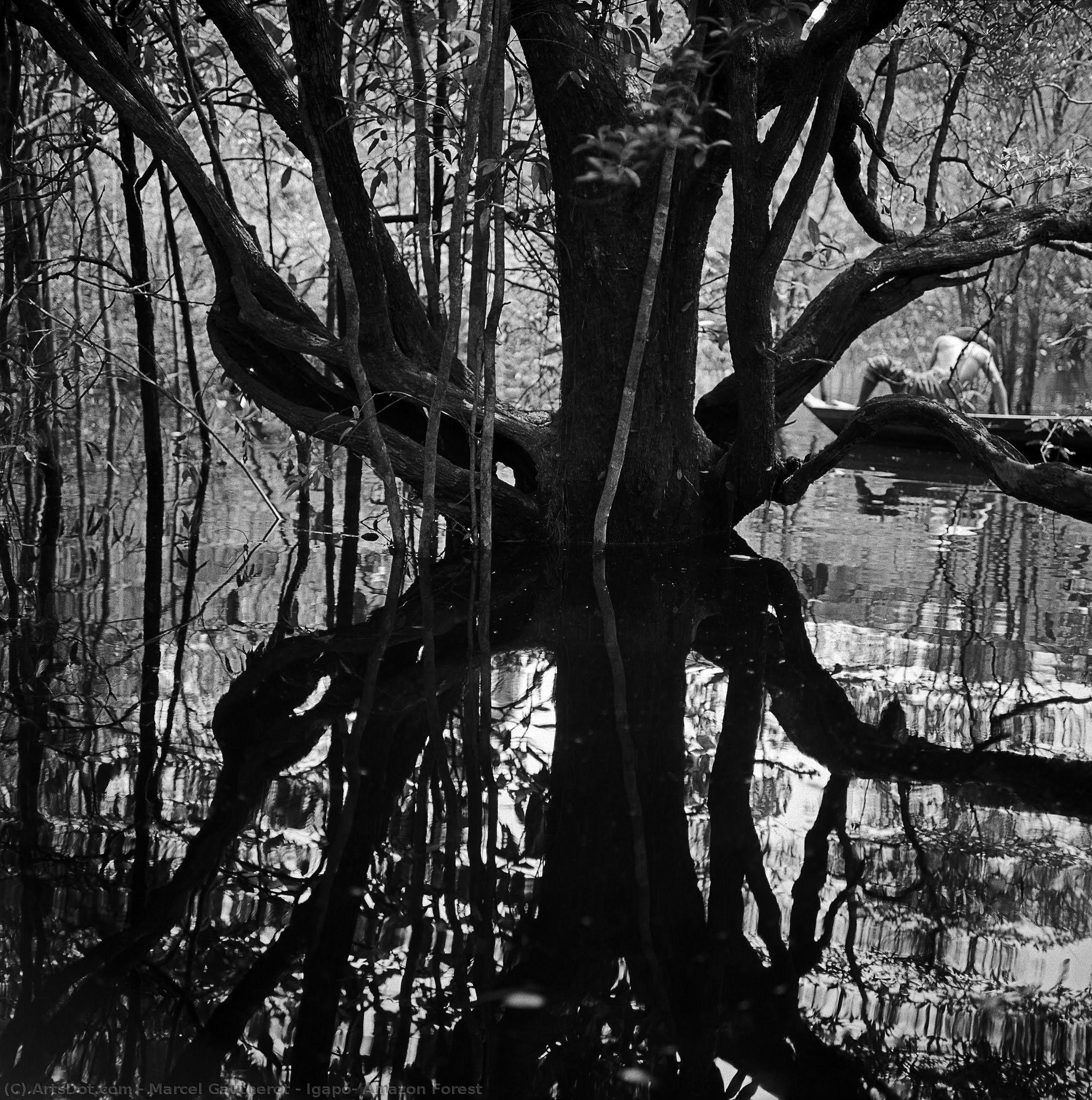 Igapó, Amazon Forest — Марсель Готеро