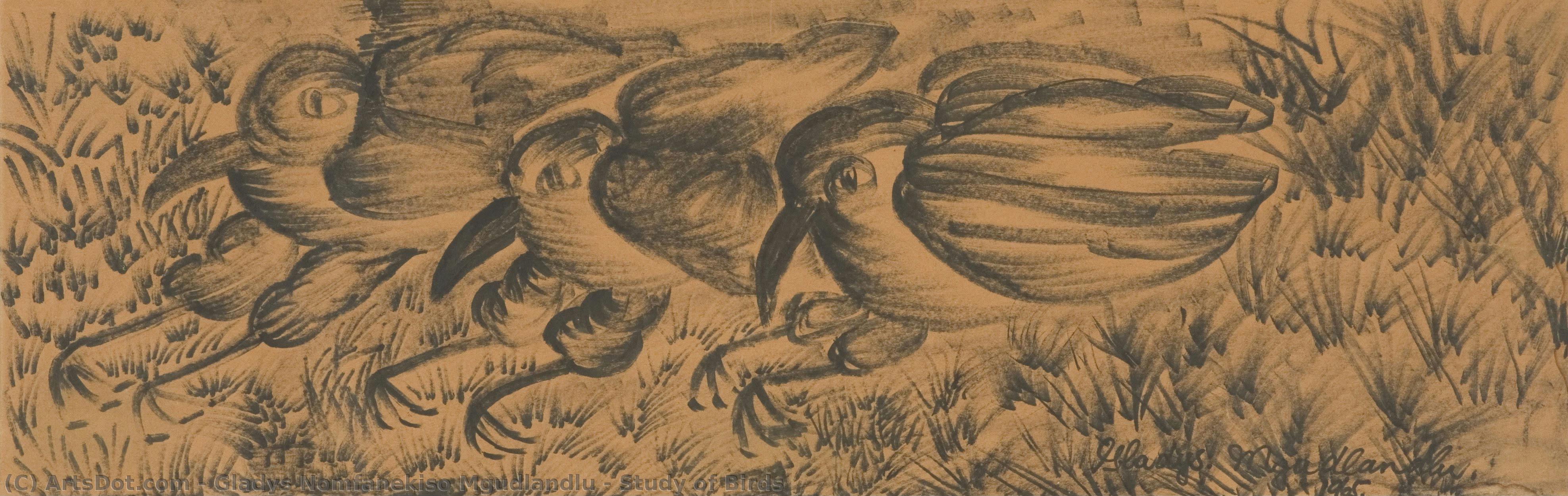Study Of Birds — Gladys Nomfanekiso Mgudlandlu