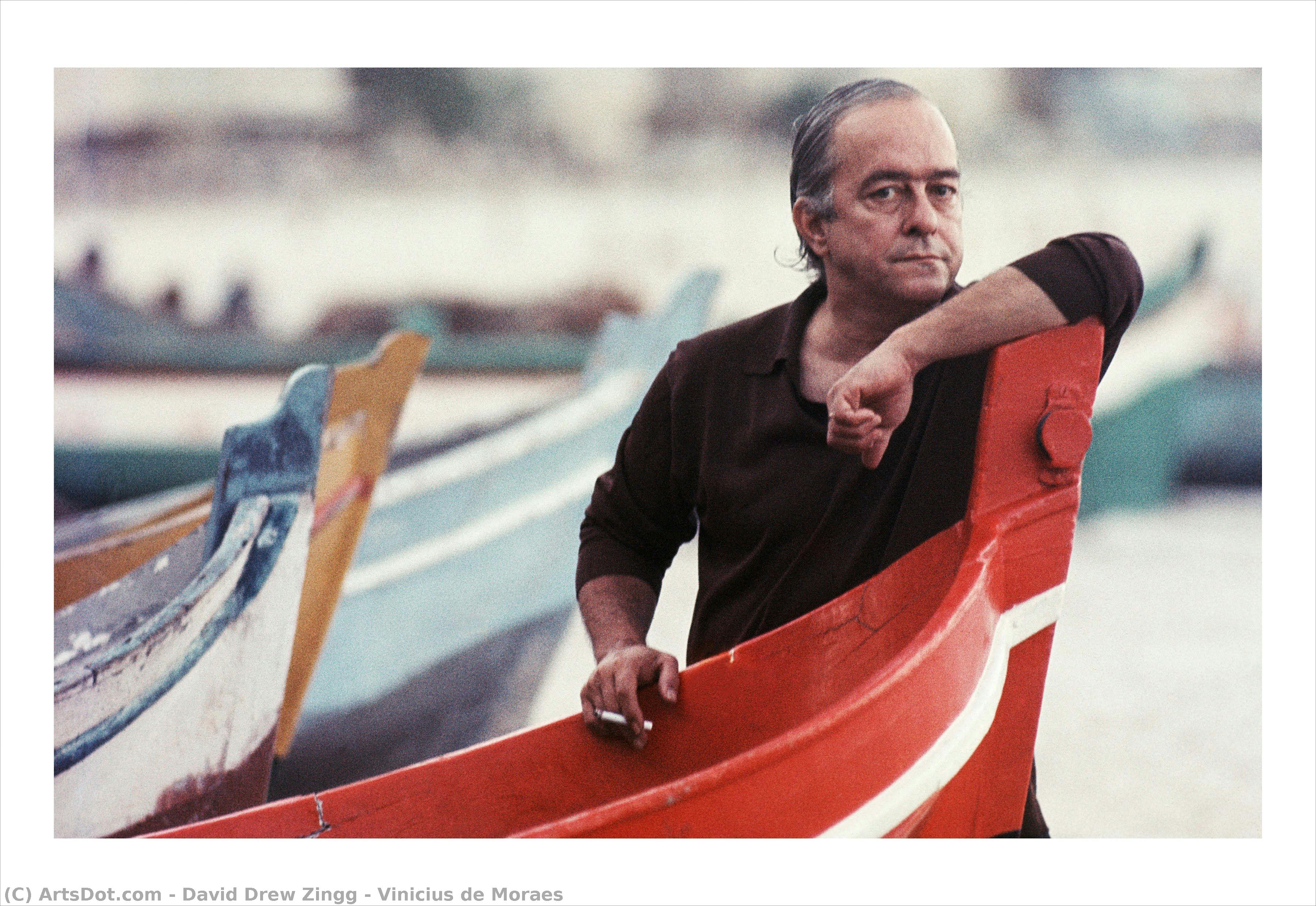 Vinicius De Moraes — David Drew Zingg