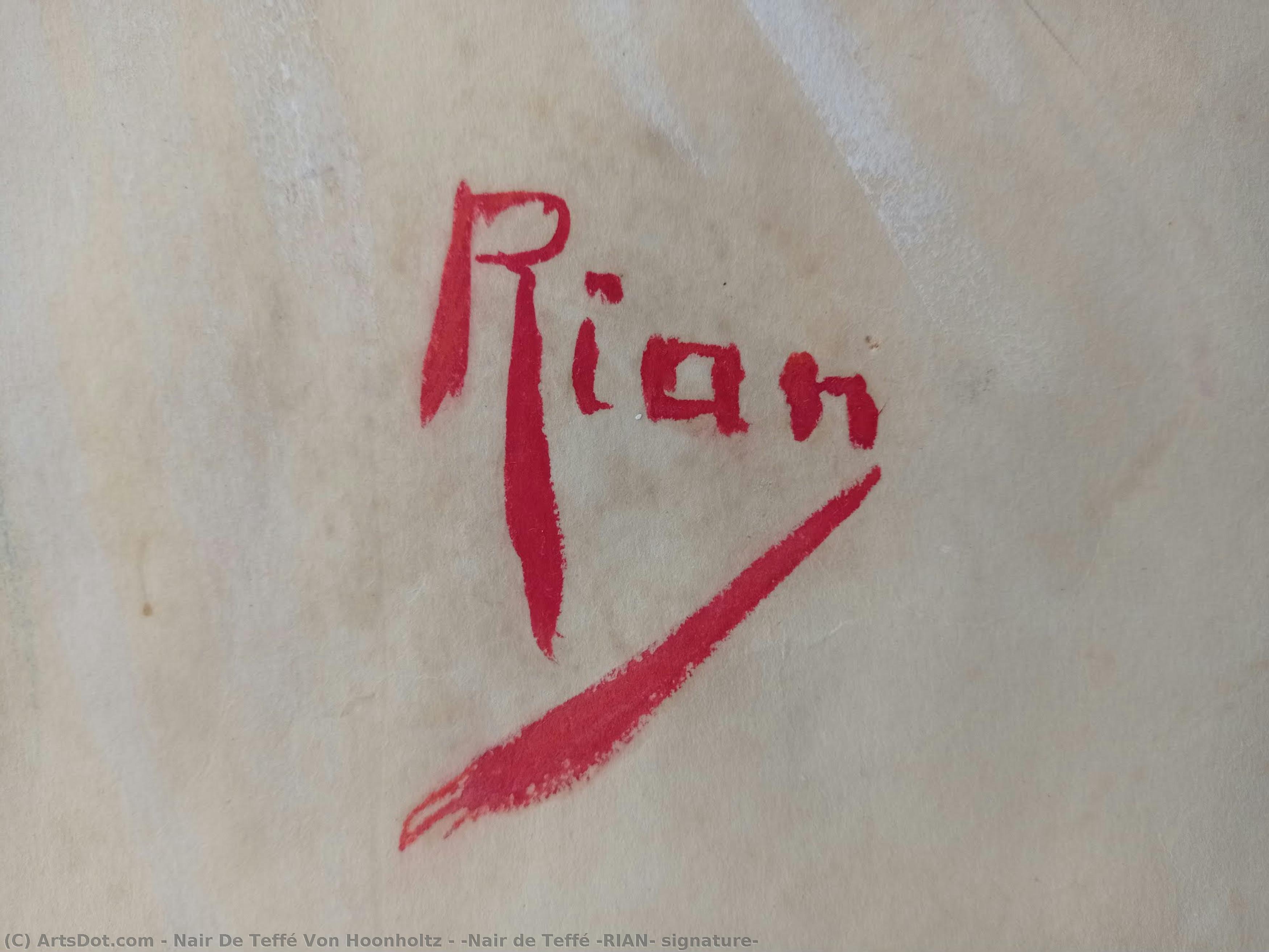[nair De Teffé (rian) Signature] — Nair De Teffé Von Hoonholtz