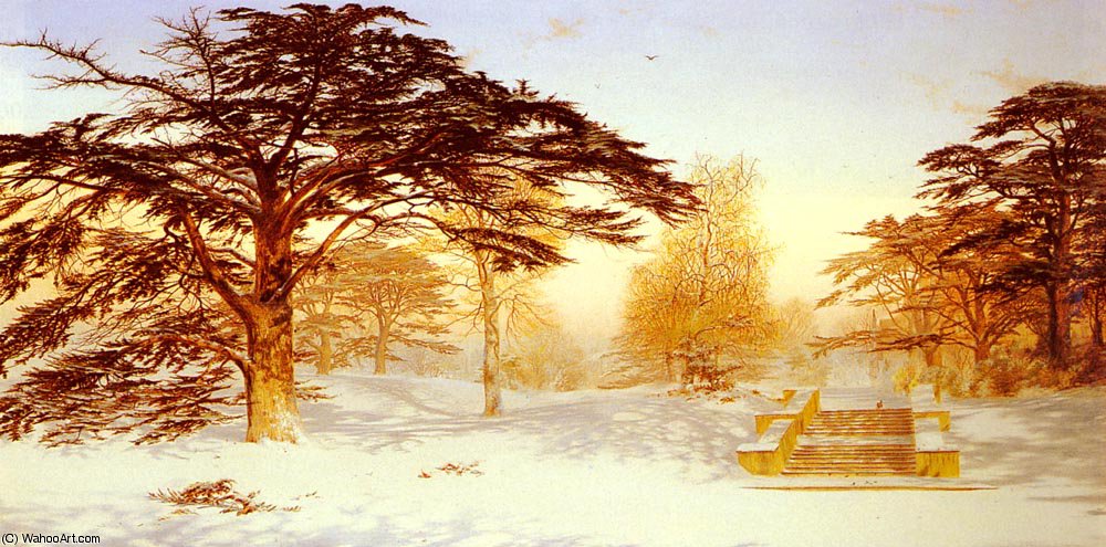 Untrodden Snow The Terrace — Andrew Maccallum