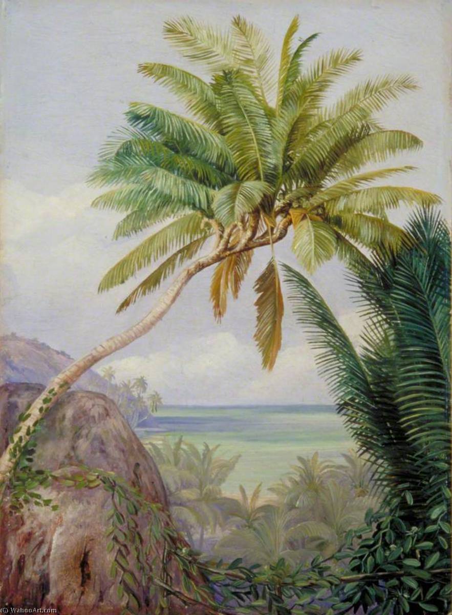 La Palmera De Seis Cabezas De Mahé, Seychelles — Marianne North