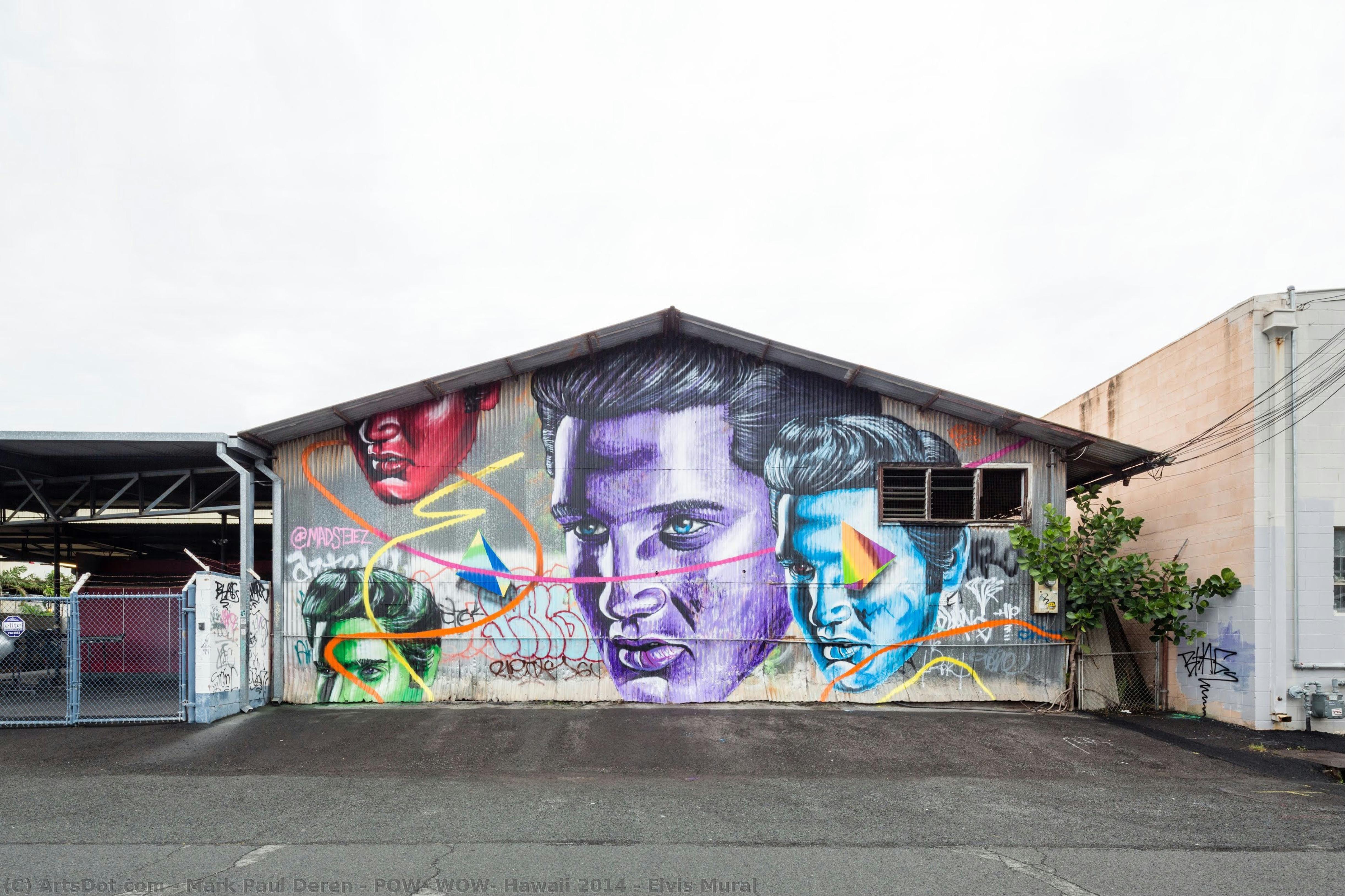 Pow! Wow! Hawaii 2014 - Elvis Mural — Mark Paul Deren