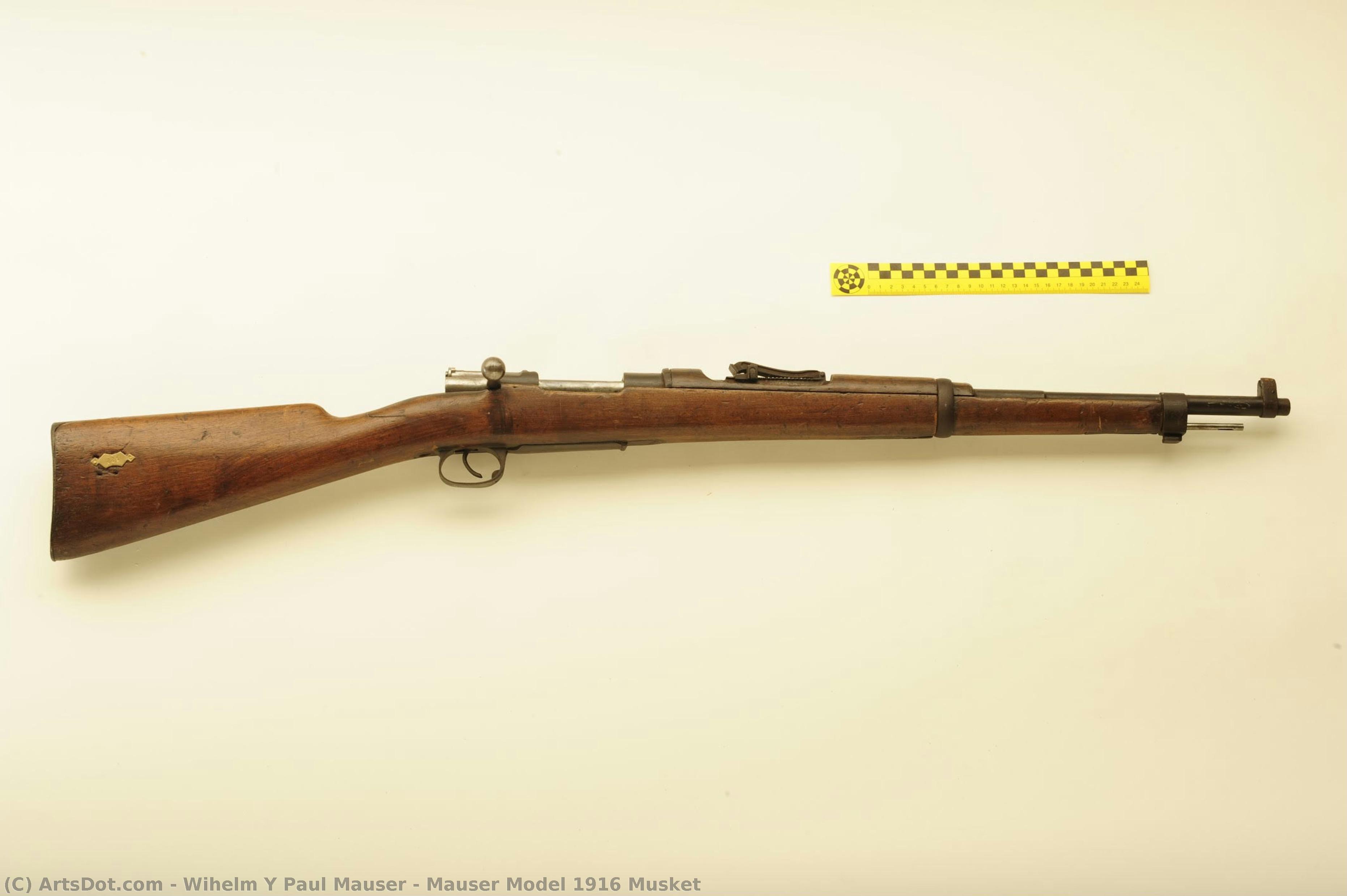 Mauser Model 1916 Musket — Wihelm Y Paul Mauser