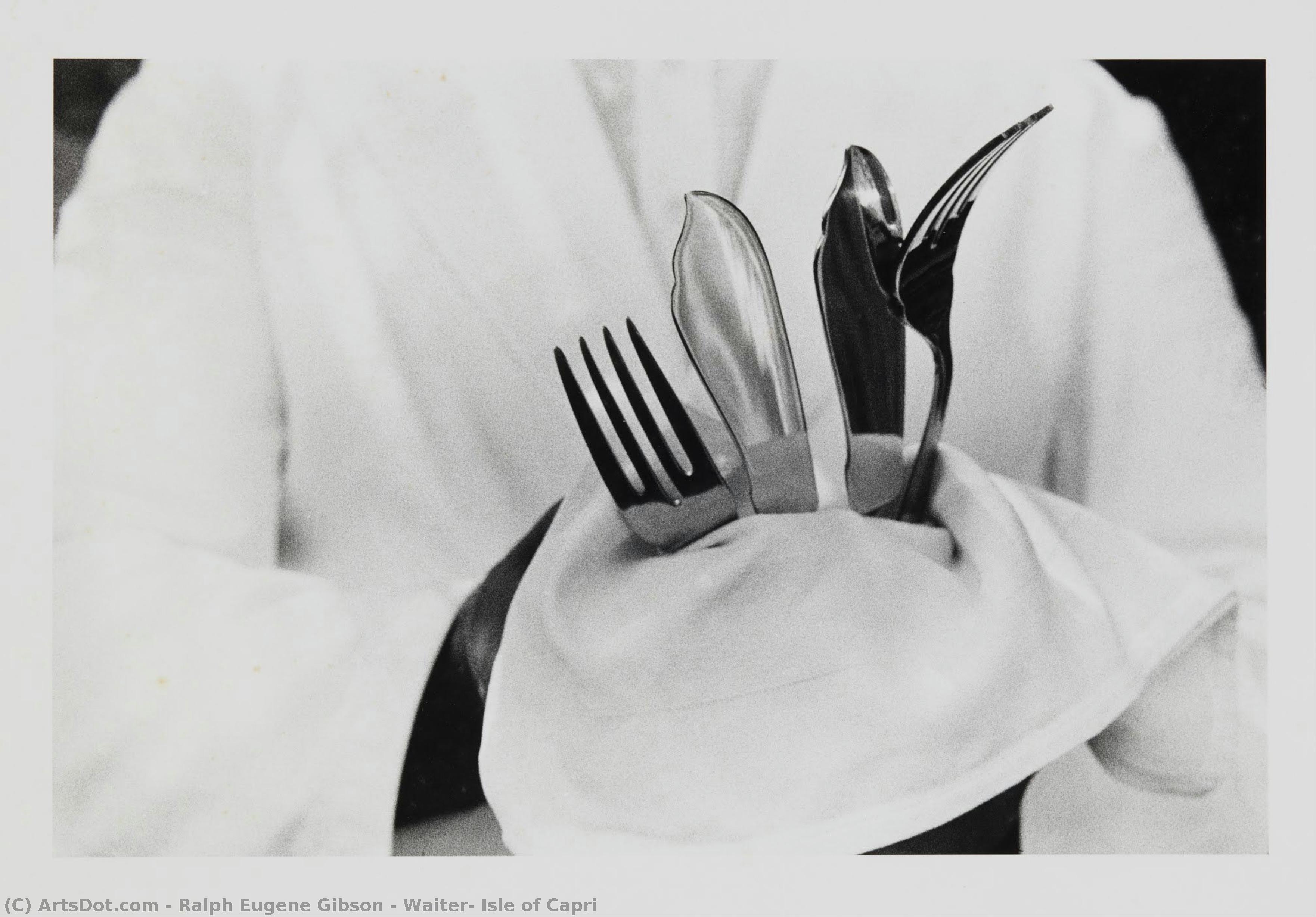 Waiter, Isle Of Capri — Ralph Eugene Gibson