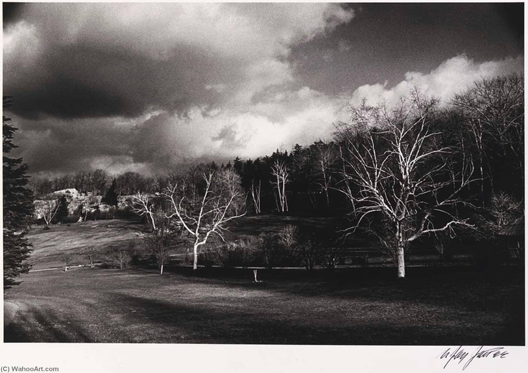 White Birches, Mohonk, New York — Nathan Jay Jaffee