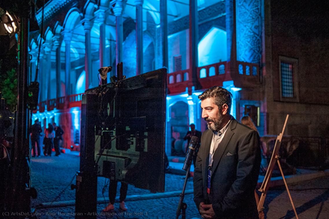 Articulations Of The Self 3 — Amir Baradaran
