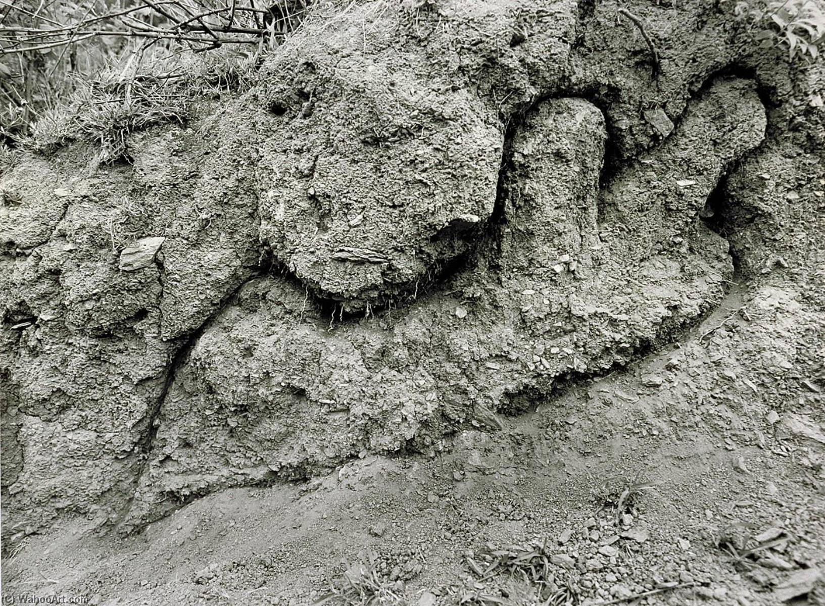 Untitled, From The Silueta Series — Ana Mendieta