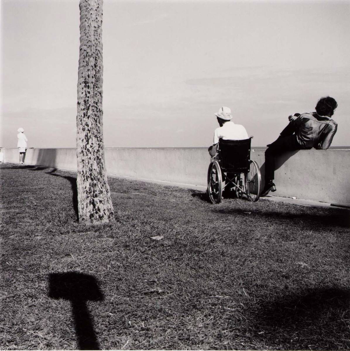 Untitled (west Palm Beach, Florida) — Burk Uzzle