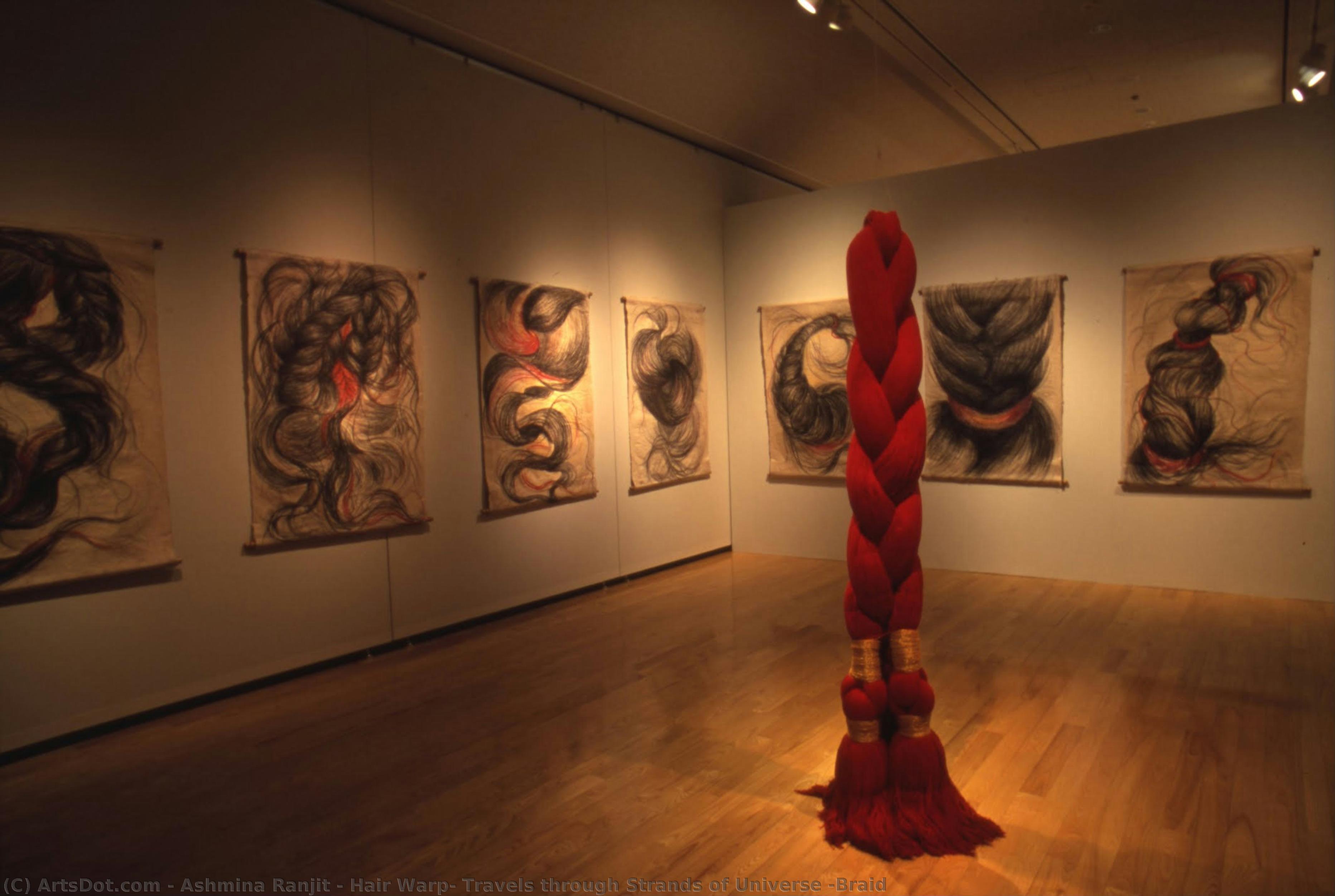 Hair Warp: Travels Through Strands Of Universe ―braid — Ashmina Ranjit