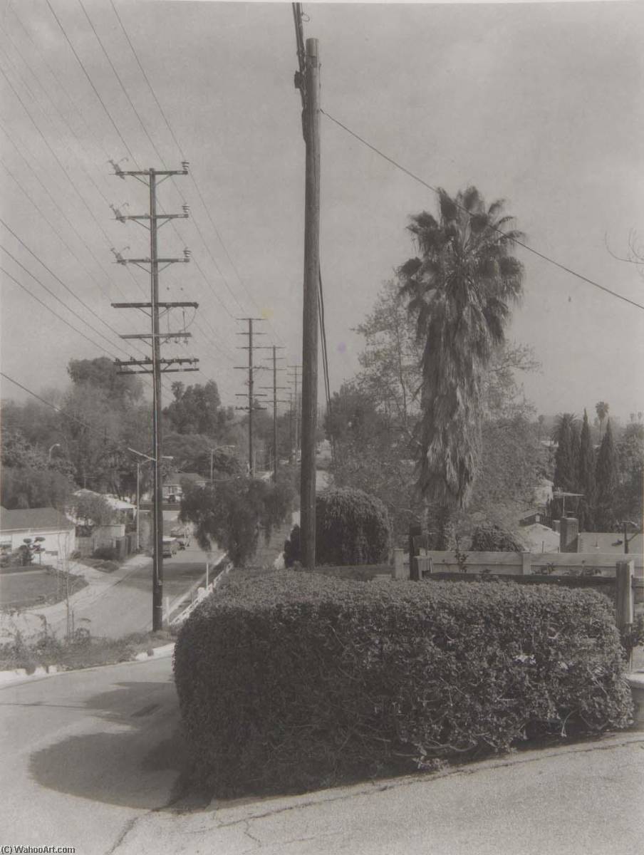 Charnock Road (inglewood Blvd.), Mar Vista (la13) — Madoka Takagi