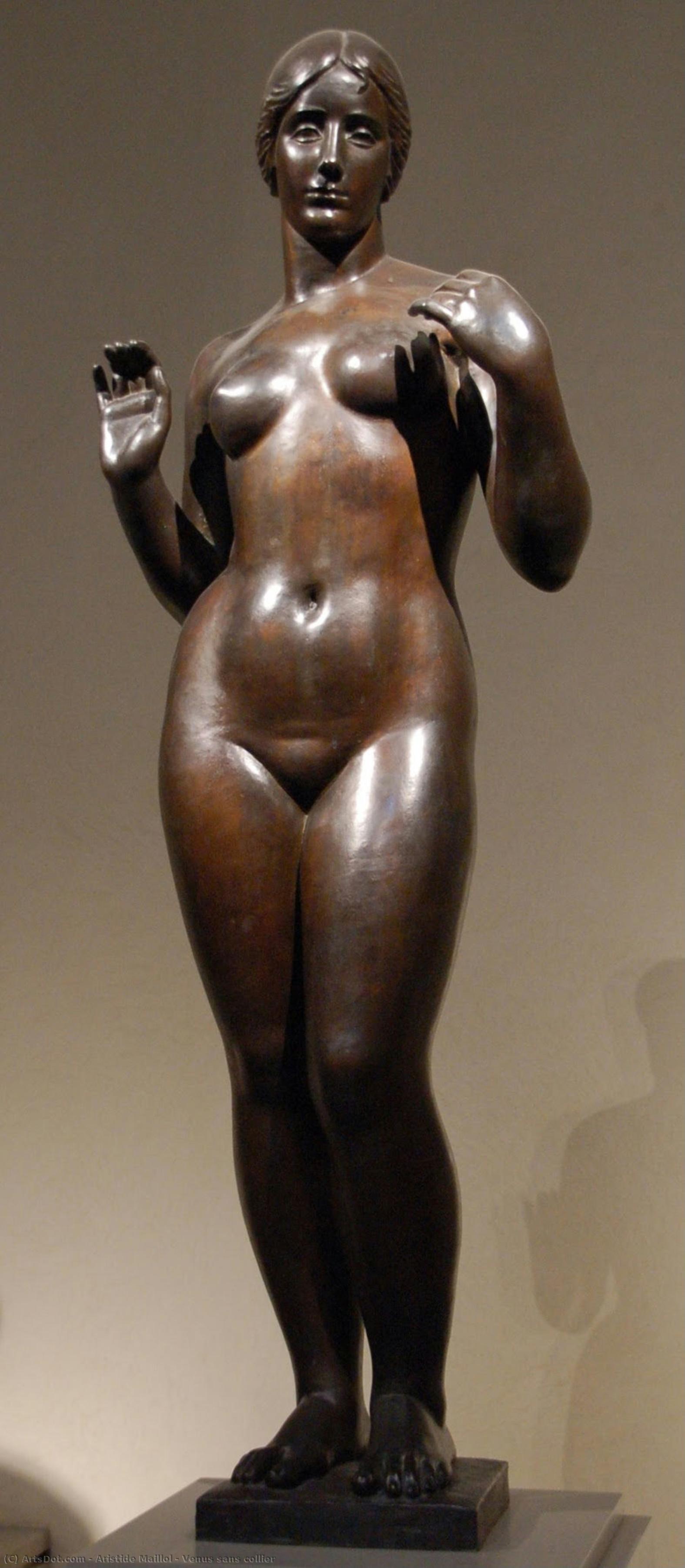 Venus Sans Collier — Arstid Majol