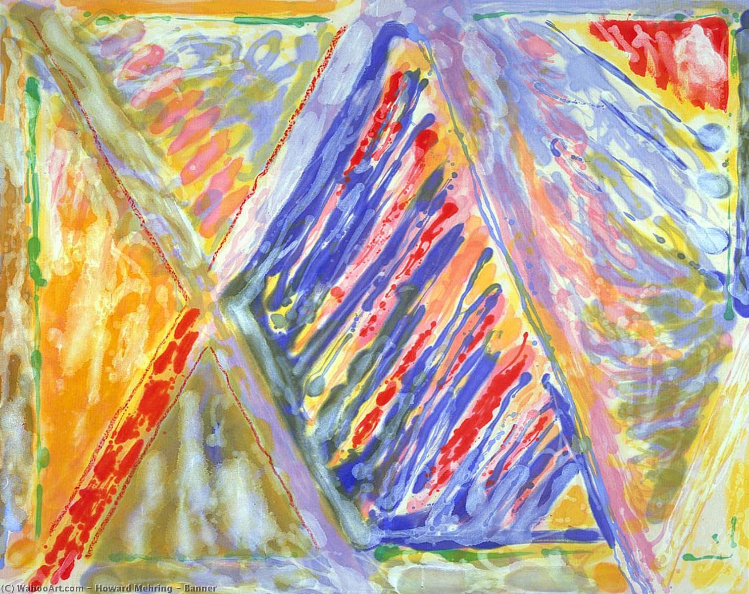 Banner — Howard Mehring