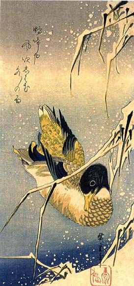 Wild Duck In Snow — Андро Хиросиге
