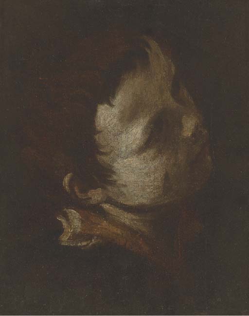 Head Of Young Boy, Looking Up And To The Right — Donato Creti