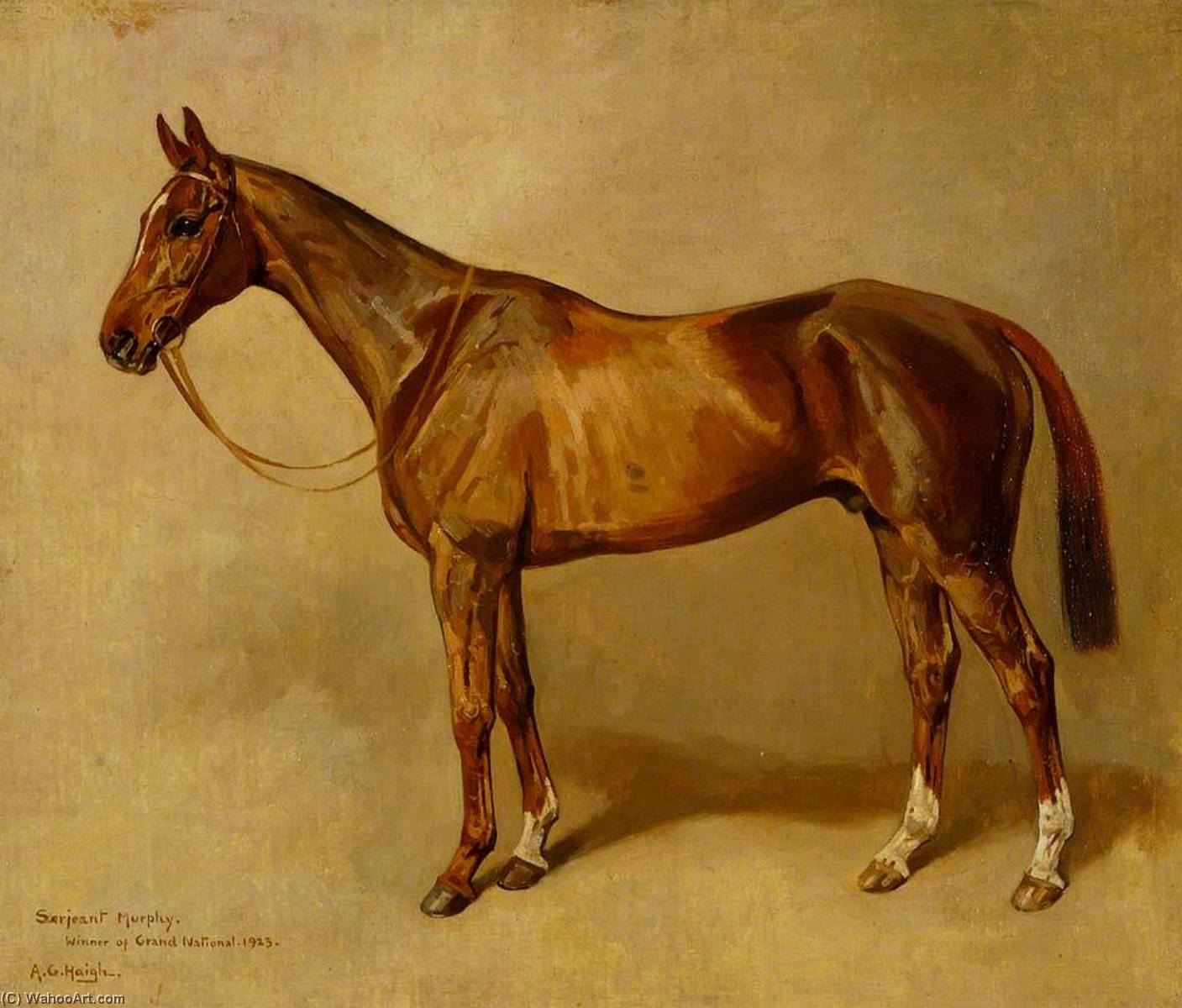 'sergeant Murphy' — Alfred Grenfell Haigh