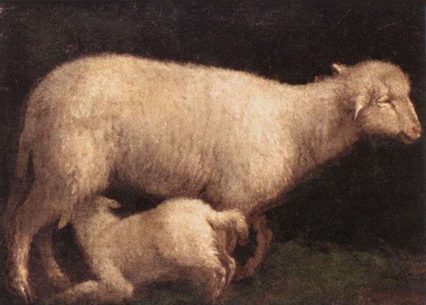 Sheep And Lamb — Jacopo Bassano (jacopo Da Ponte)