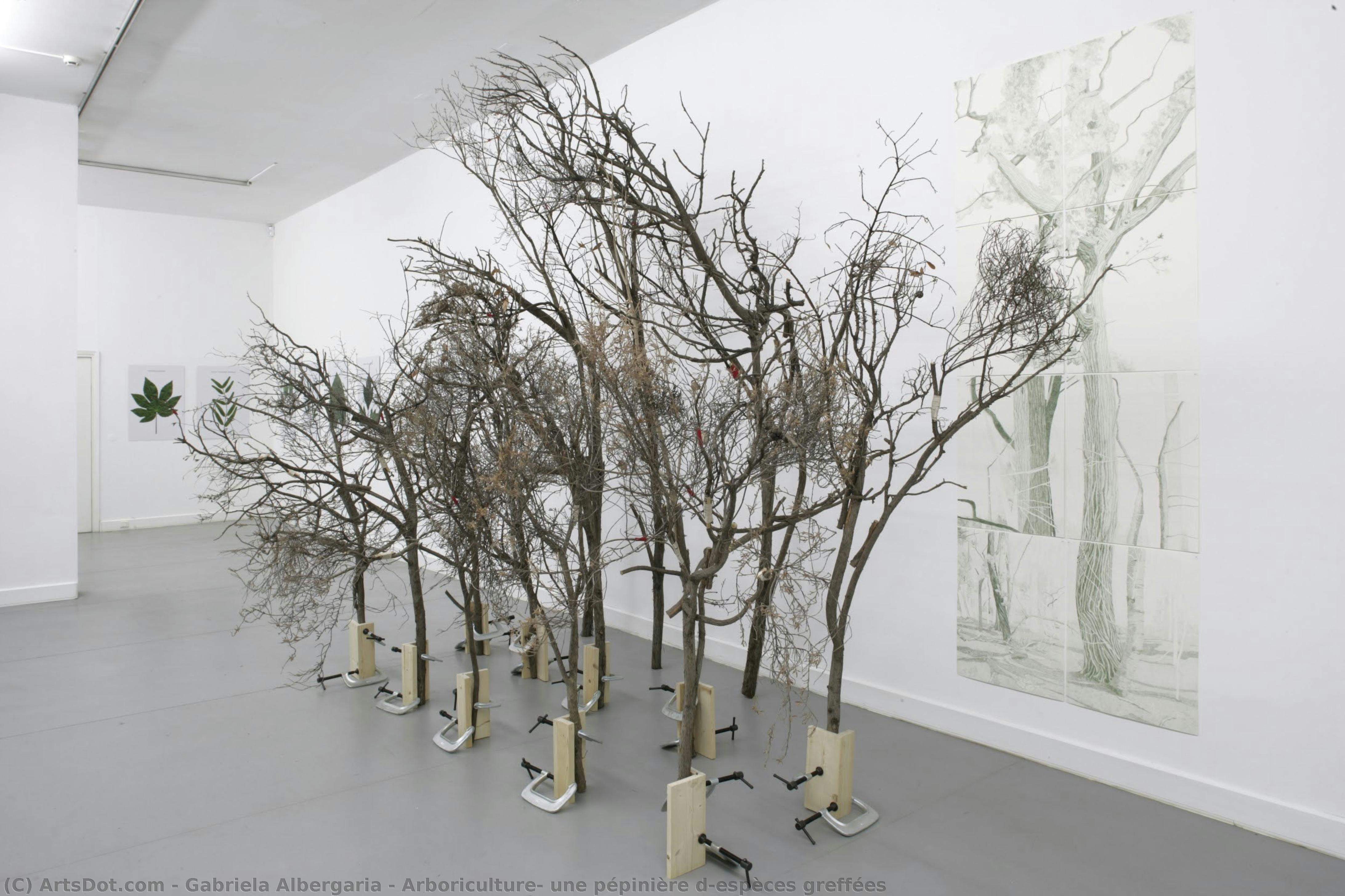 Arboriculture, Une Pépinière D’espèces Greffées — Gabriela Albergaria