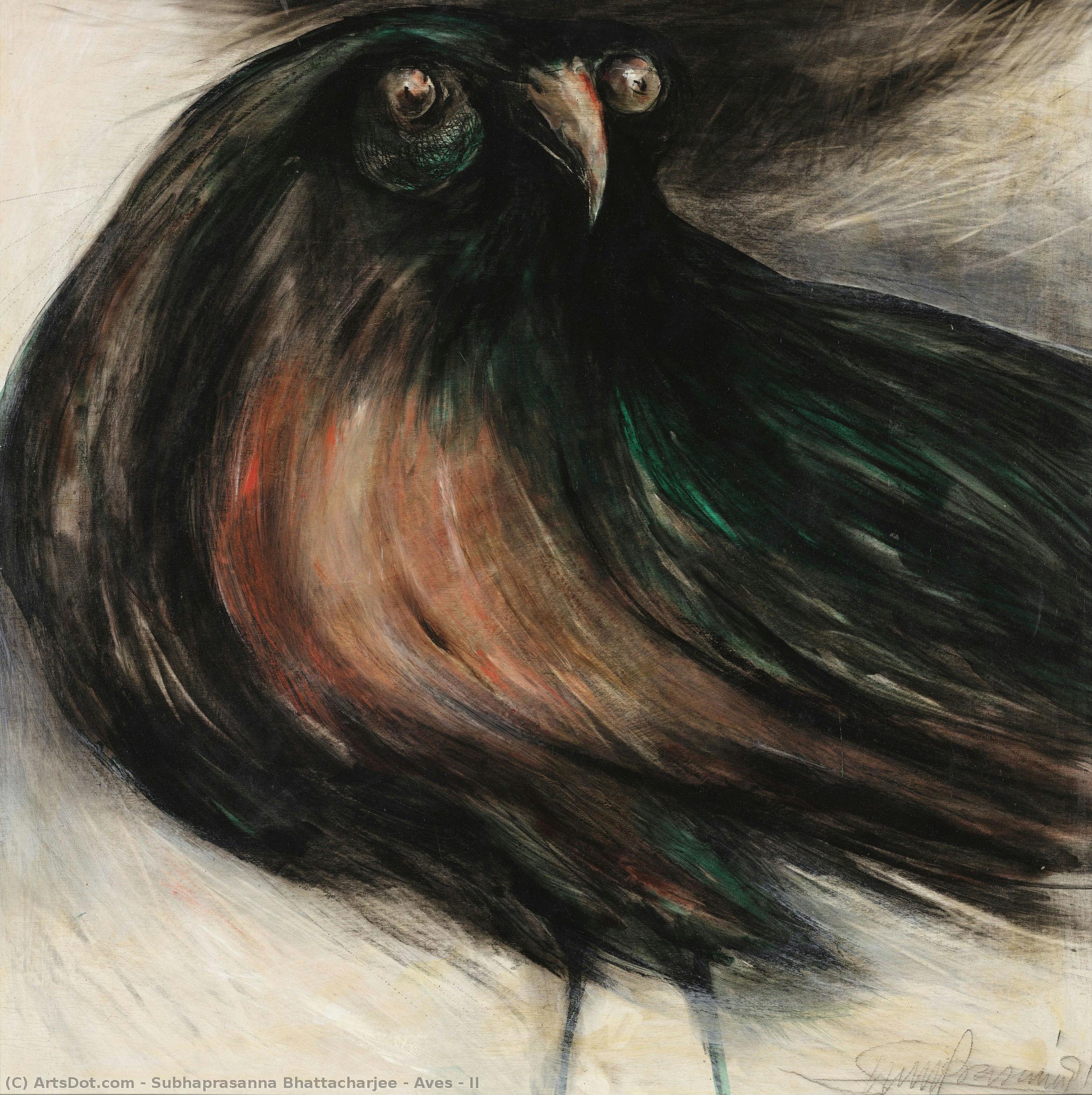 Aves - Ii — Subhaprasanna Bhattacharjee