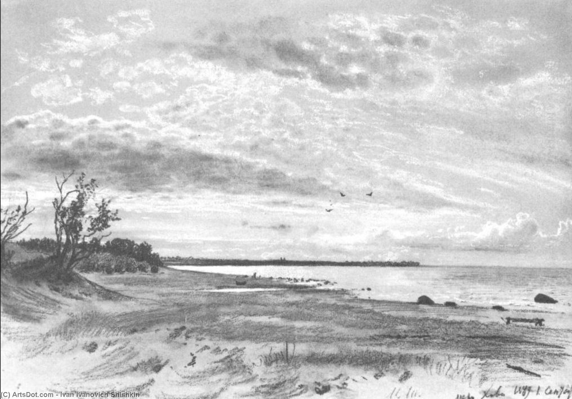 Coast Of A Sea, Mery-hovy — Ivan Ivanovich Shishkin