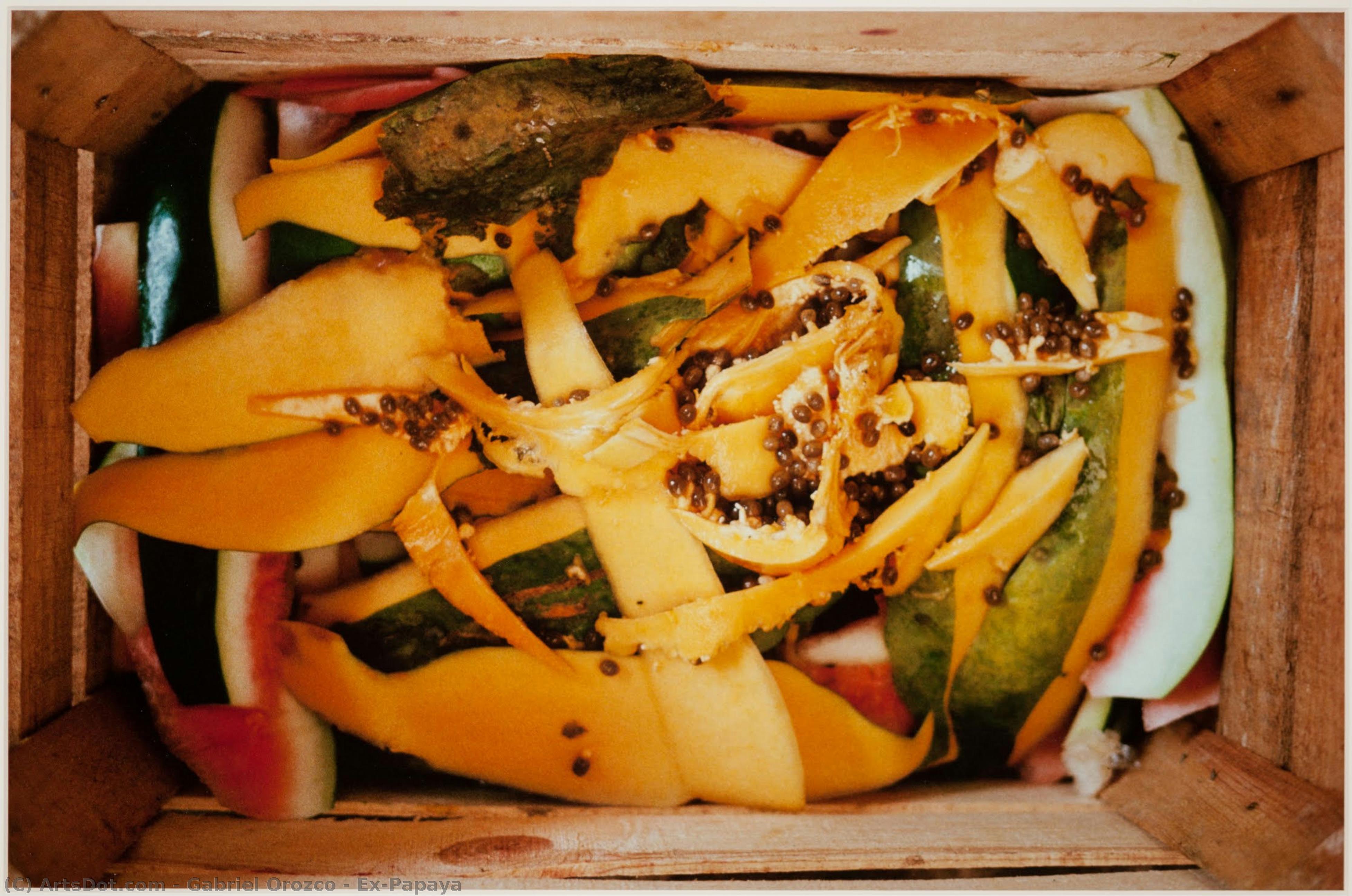 Ex-papaya — Gabriel Orozco