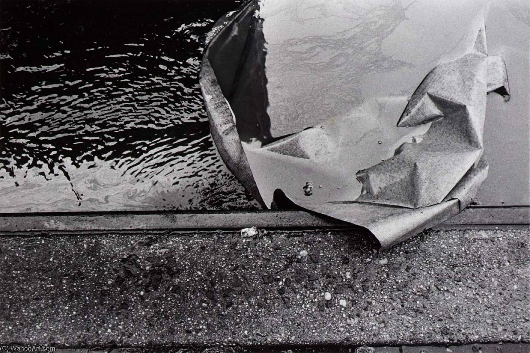 Untitled (water, Paper, Curb) — Joseph Dankowski