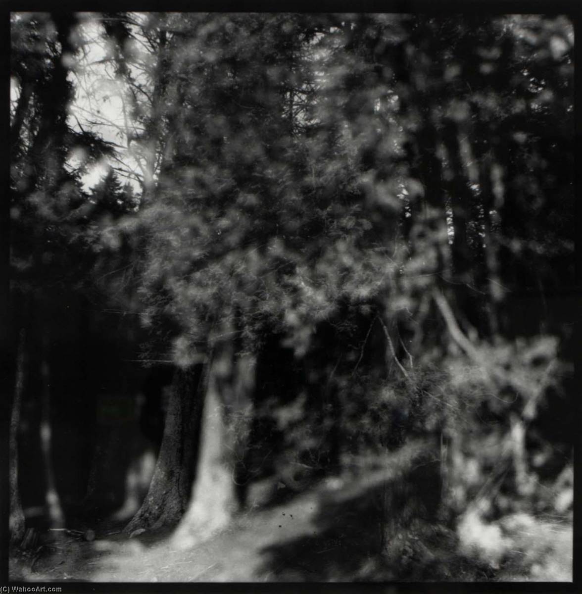 Mt. Desert Island, Maine — Edward Hill