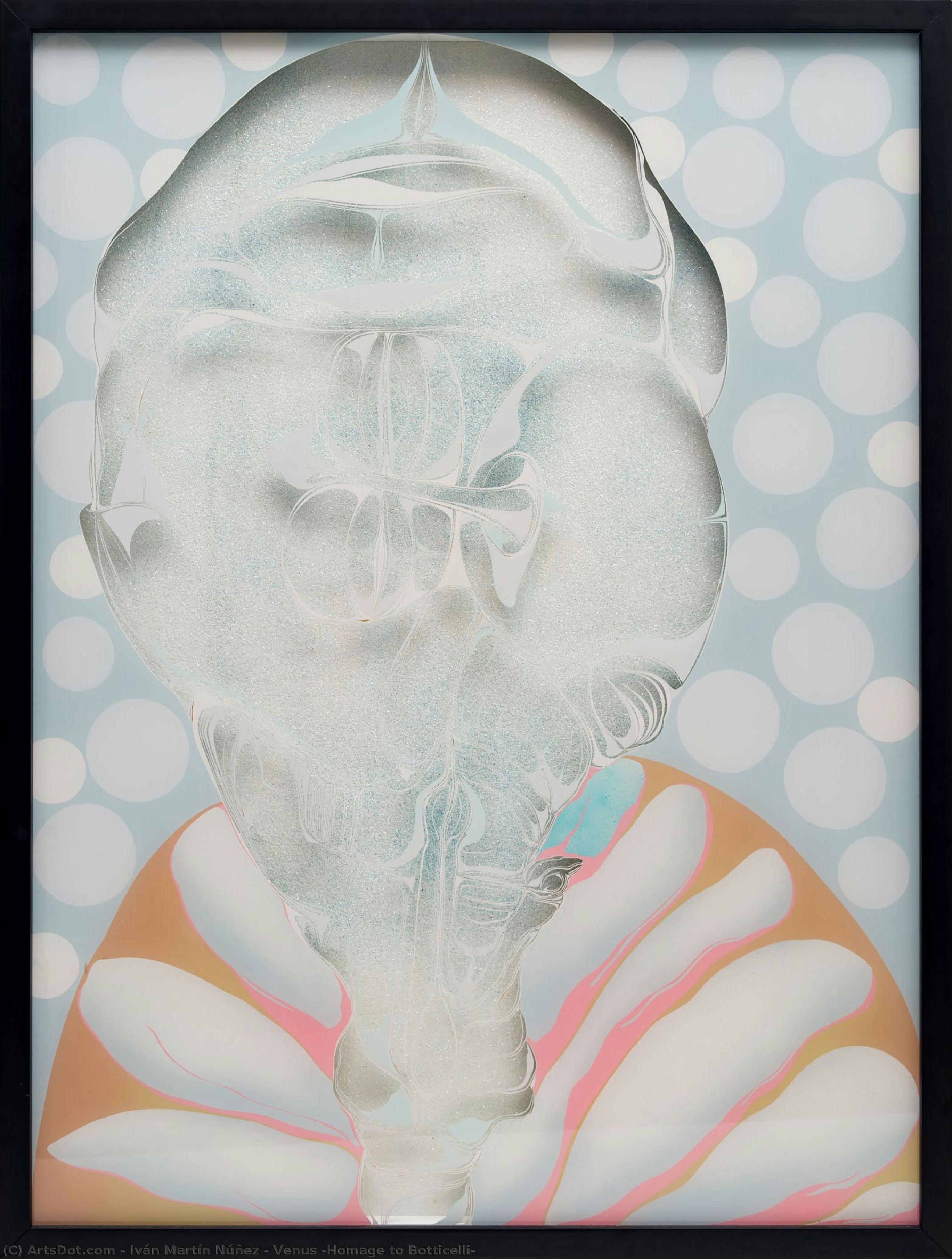 Venus (homage To Botticelli) — Iván Martín Núñez