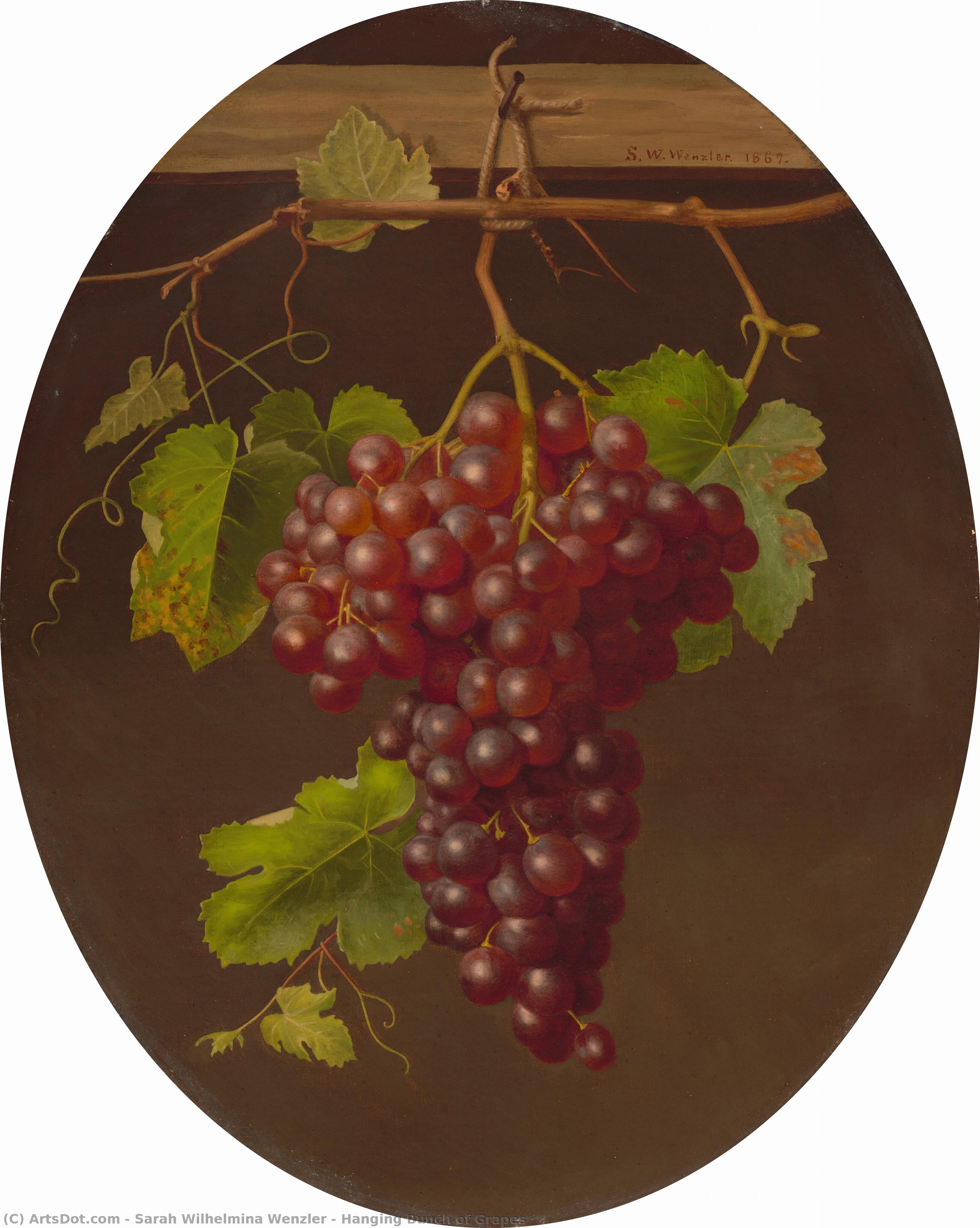 Hanging Bunch Of Grapes — Sarah Wilhelmina Wenzler