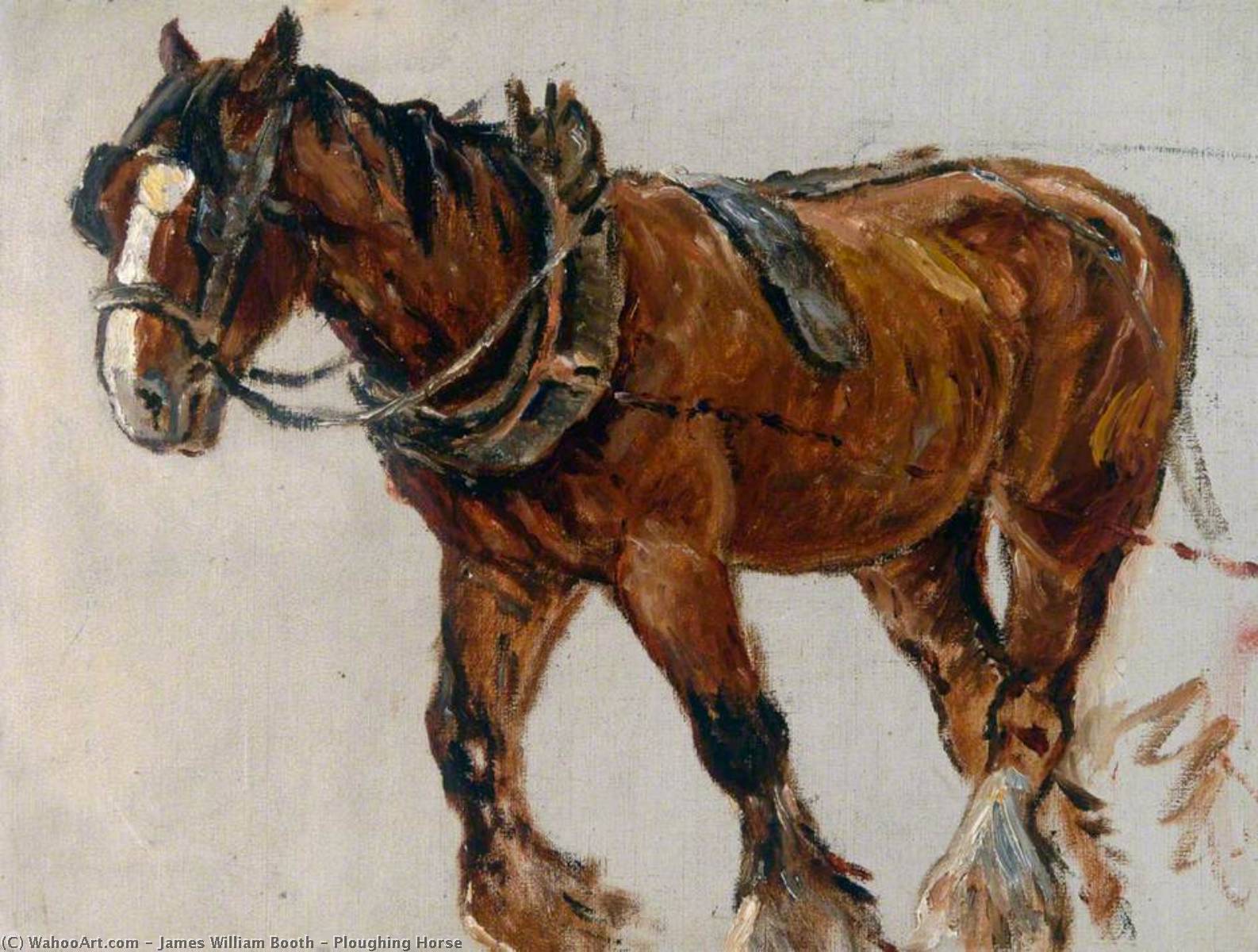 Ploughing Horse — James William Booth