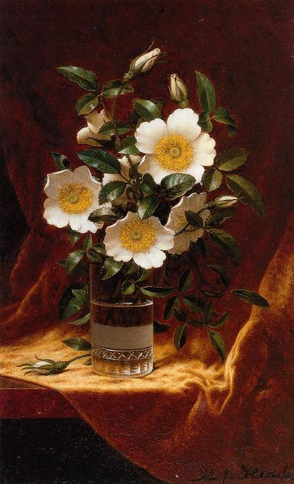 Cherokee Roses In A Glass — Мартин Џонсон Хиде