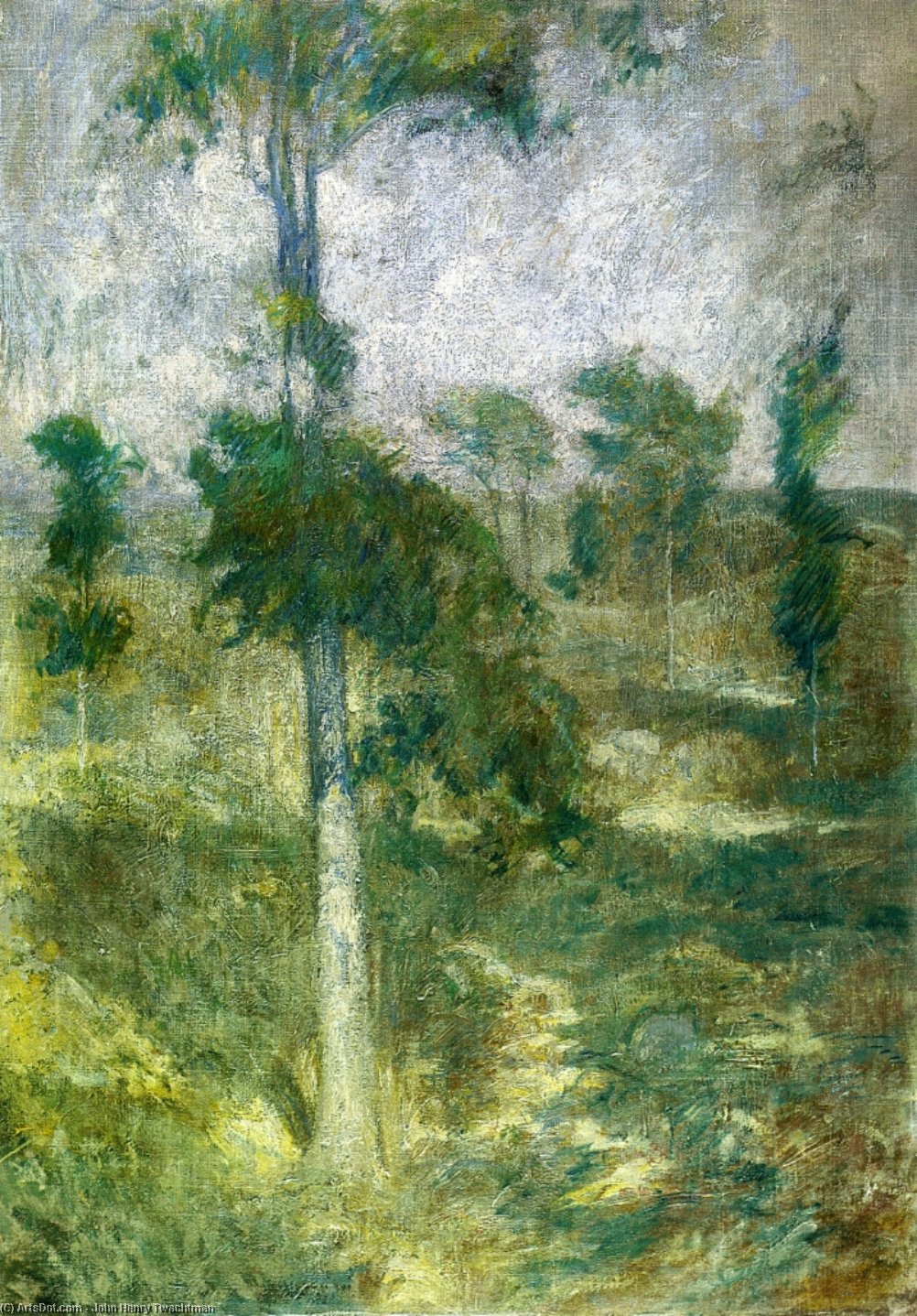 Tulip Tree, Greenwich — John Henry Twachtman
