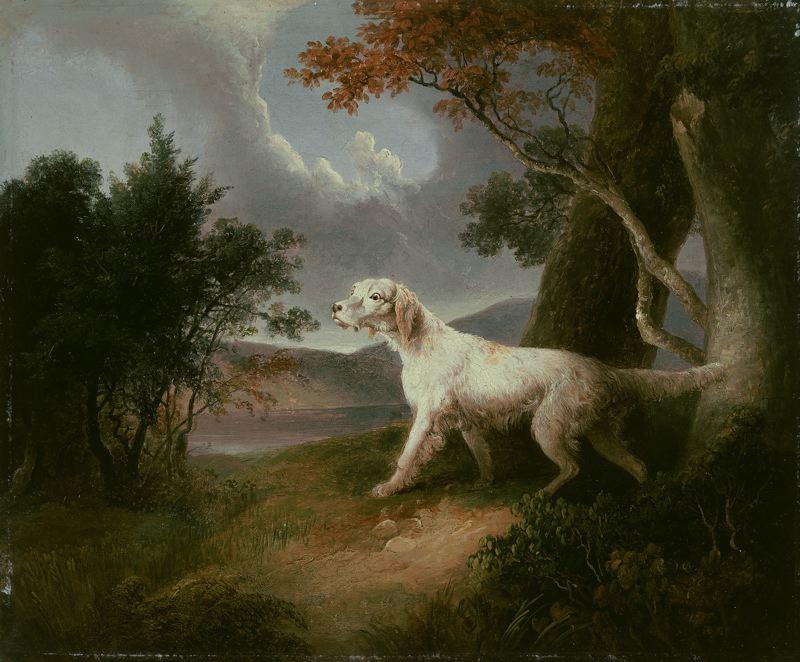 Landscape With Dog — トーマス・ドーティ
