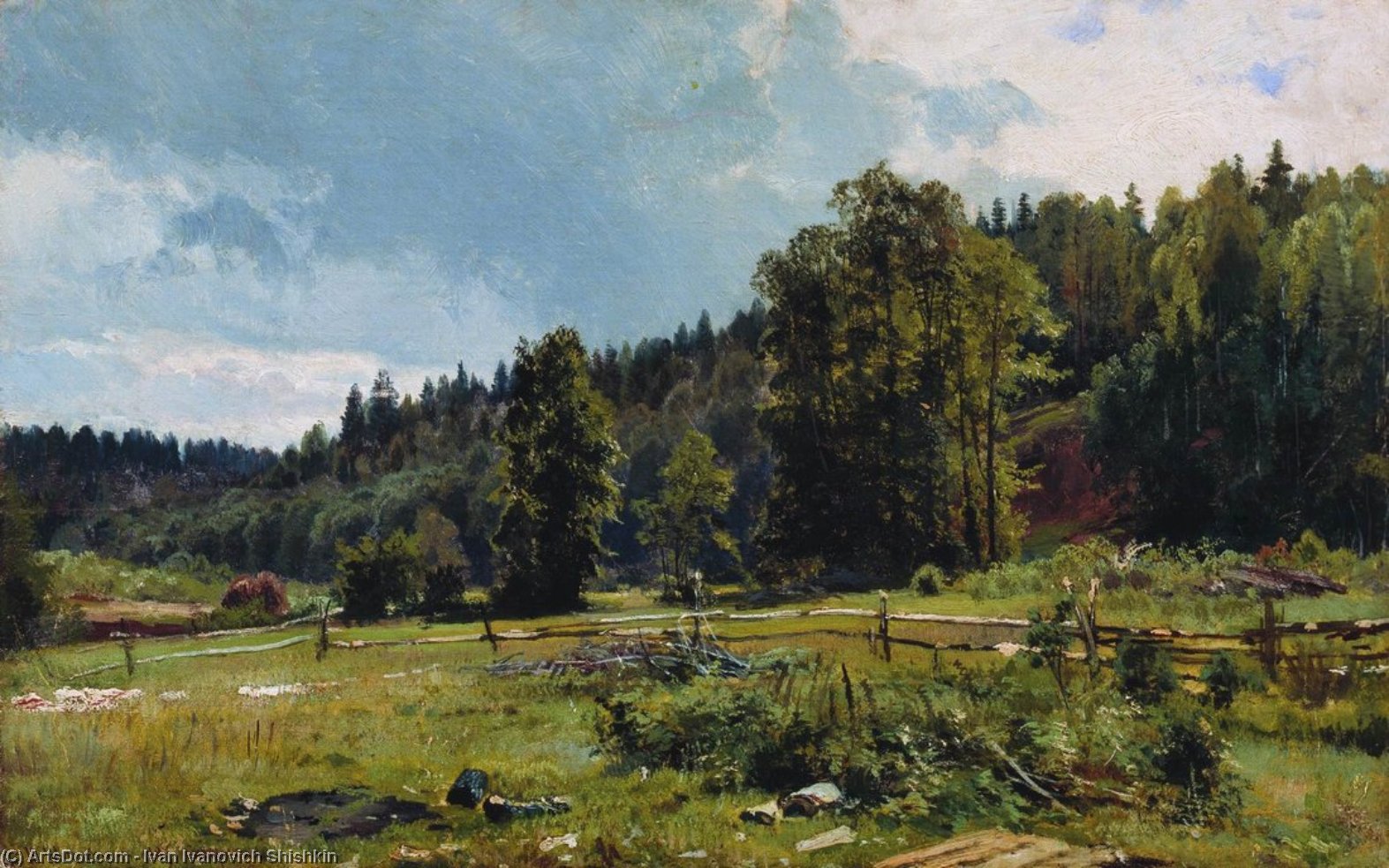 Meadow At The Forest Edge. Siverskaya — Ivan Ivanovich Shishkin