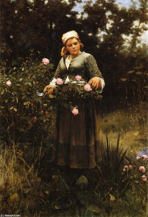 Gathering Roses — Дэниэл Риджвей Кнайт