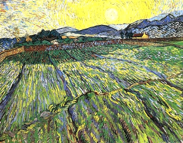Campo Cercado Con El Sol Naciente — Vincent Willem Van Gogh