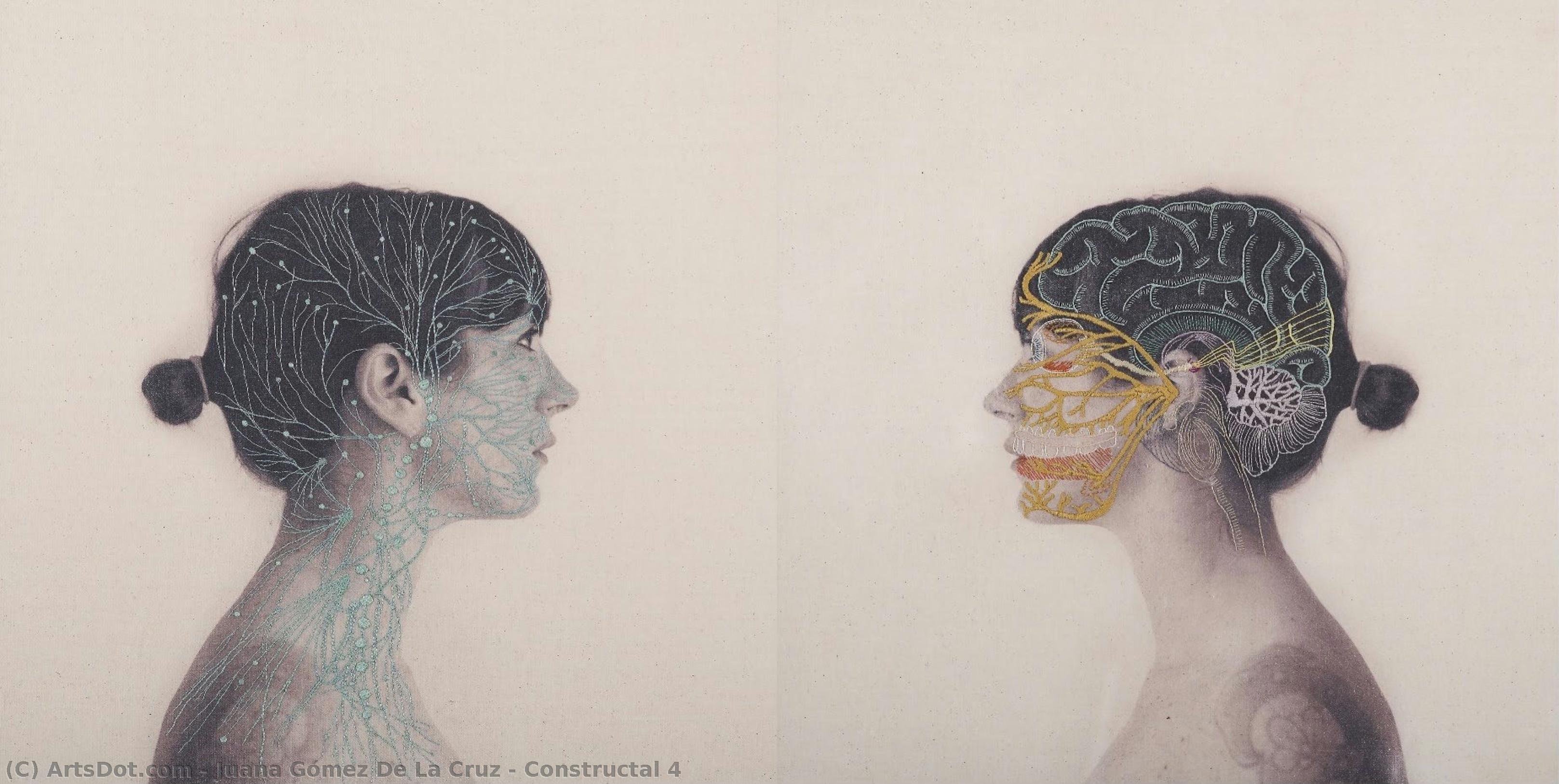 Constructal 4 — Juana Gómez De La Cruz