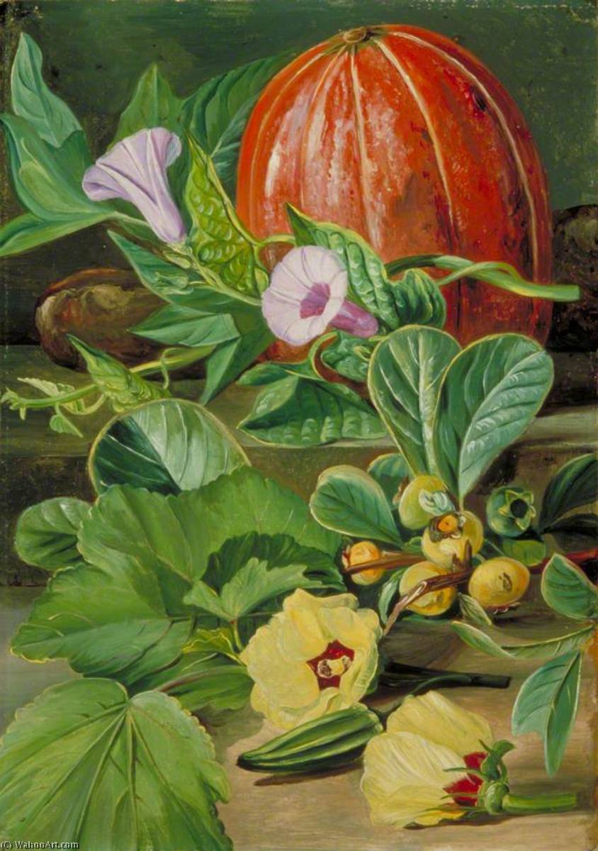 Einige In Brasilien Verwendete Früchte Und Gemüse — Marianne North