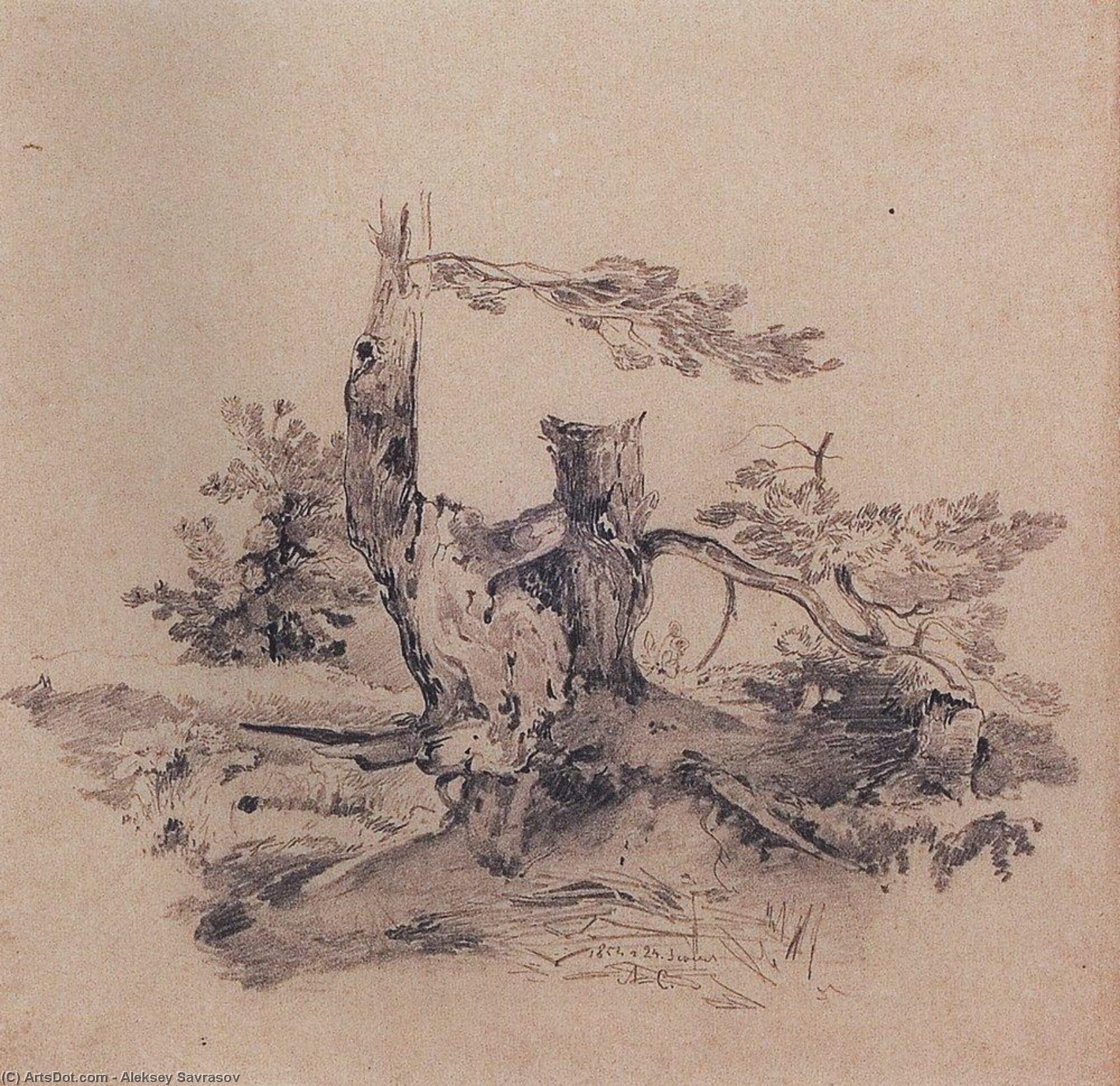 Pines, Adjacent To The Root Of The Barrel — Aleksey Savrasov