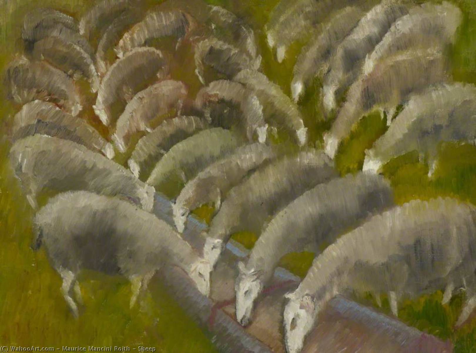 Sheep — Maurice Mancini Roith