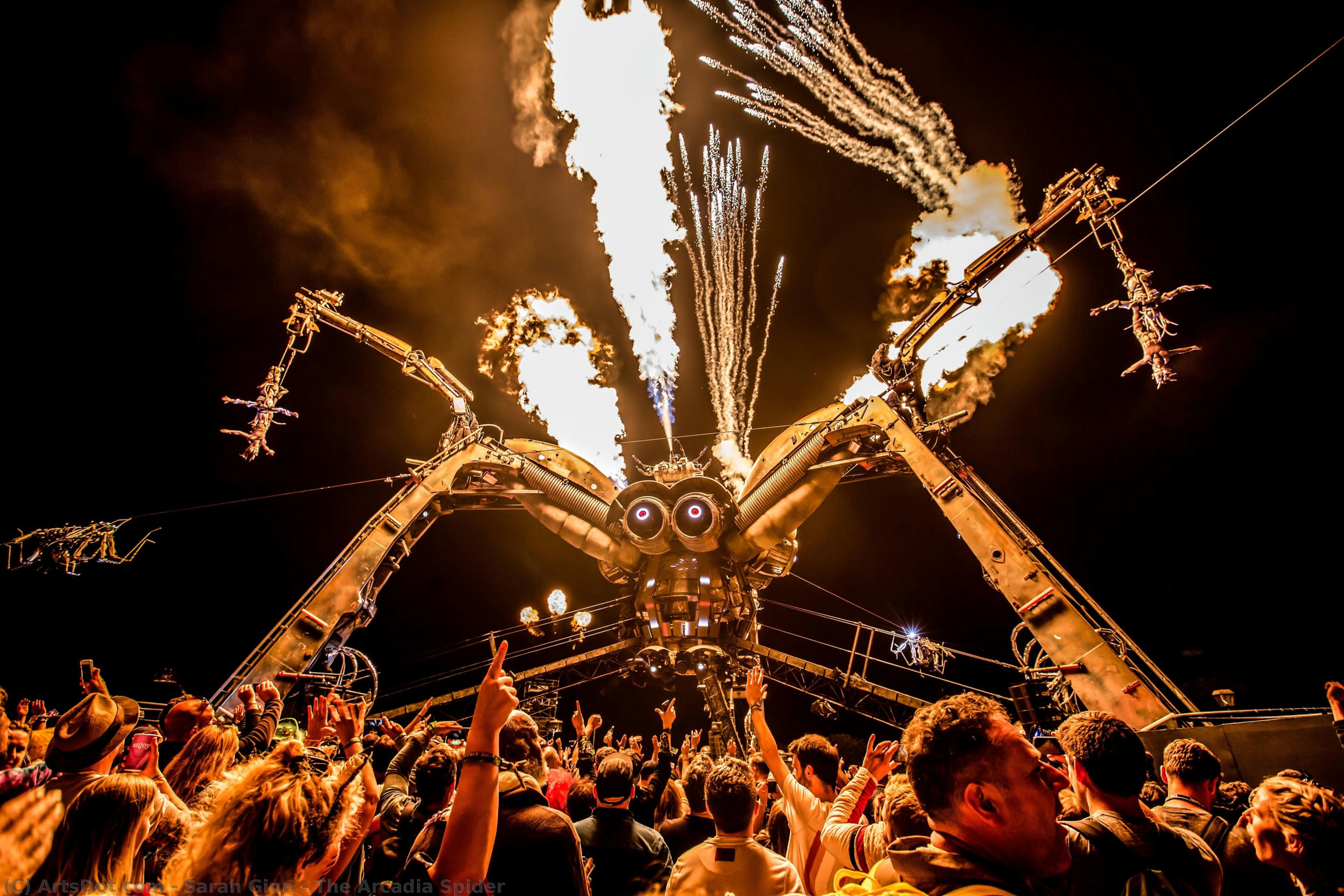 The Arcadia Spider — Sarah Ginn