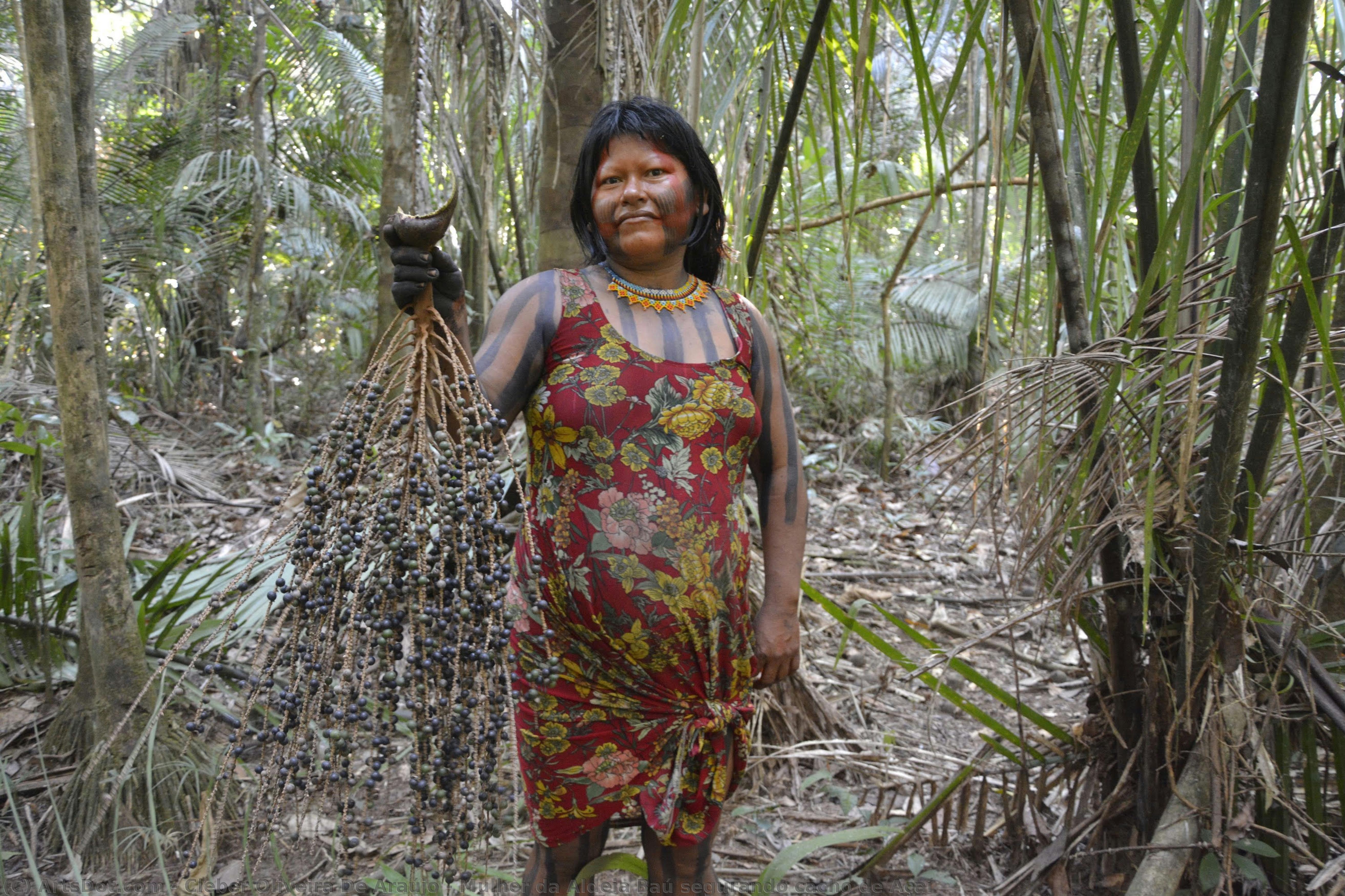 Mulher Da Aldeia Baú Segurando Cacho De Açaí — Cleber Oliveira De Araújo