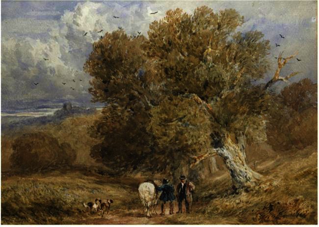 Olsover Park, Derbyshire — デイヴィッド・コックス