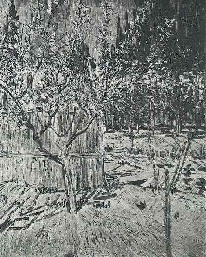 Apricot Trees In Blossom — Vincent Willem Van Gogh